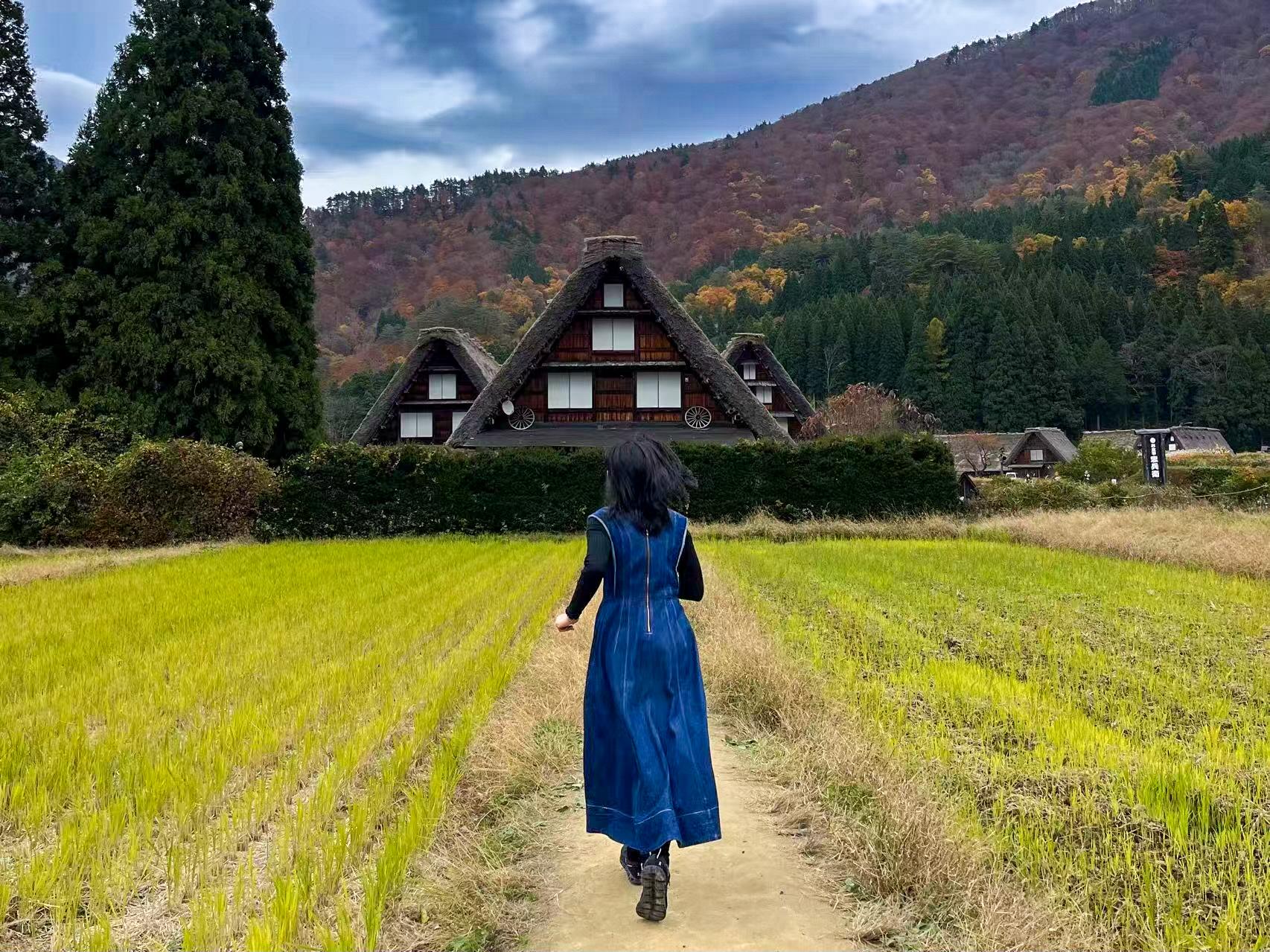 Takayama & Shirakawa-go Heritage Day Tour from Nagoya