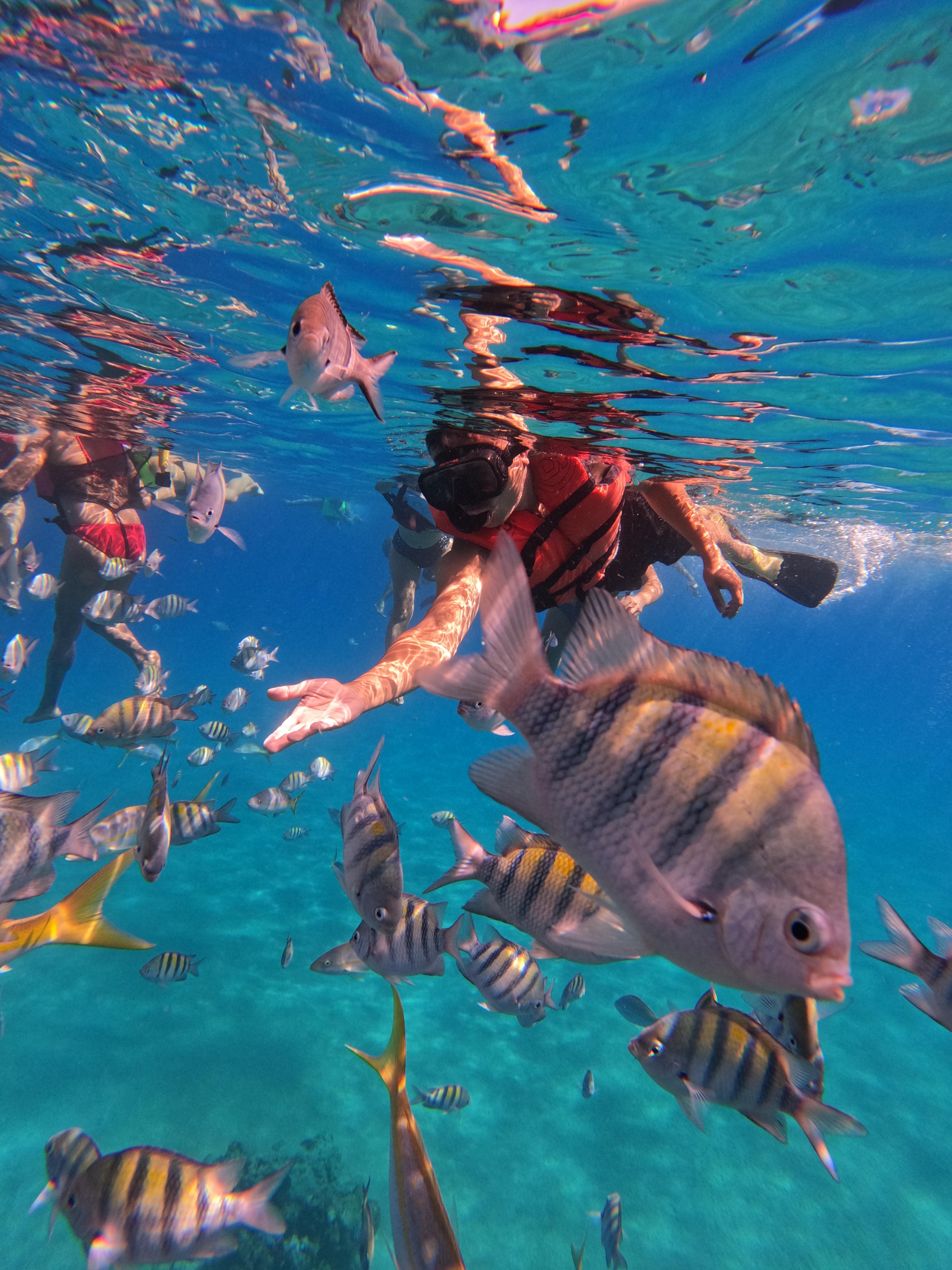Puerto Plata Catamaran Sailing & Snorkeling Adventure