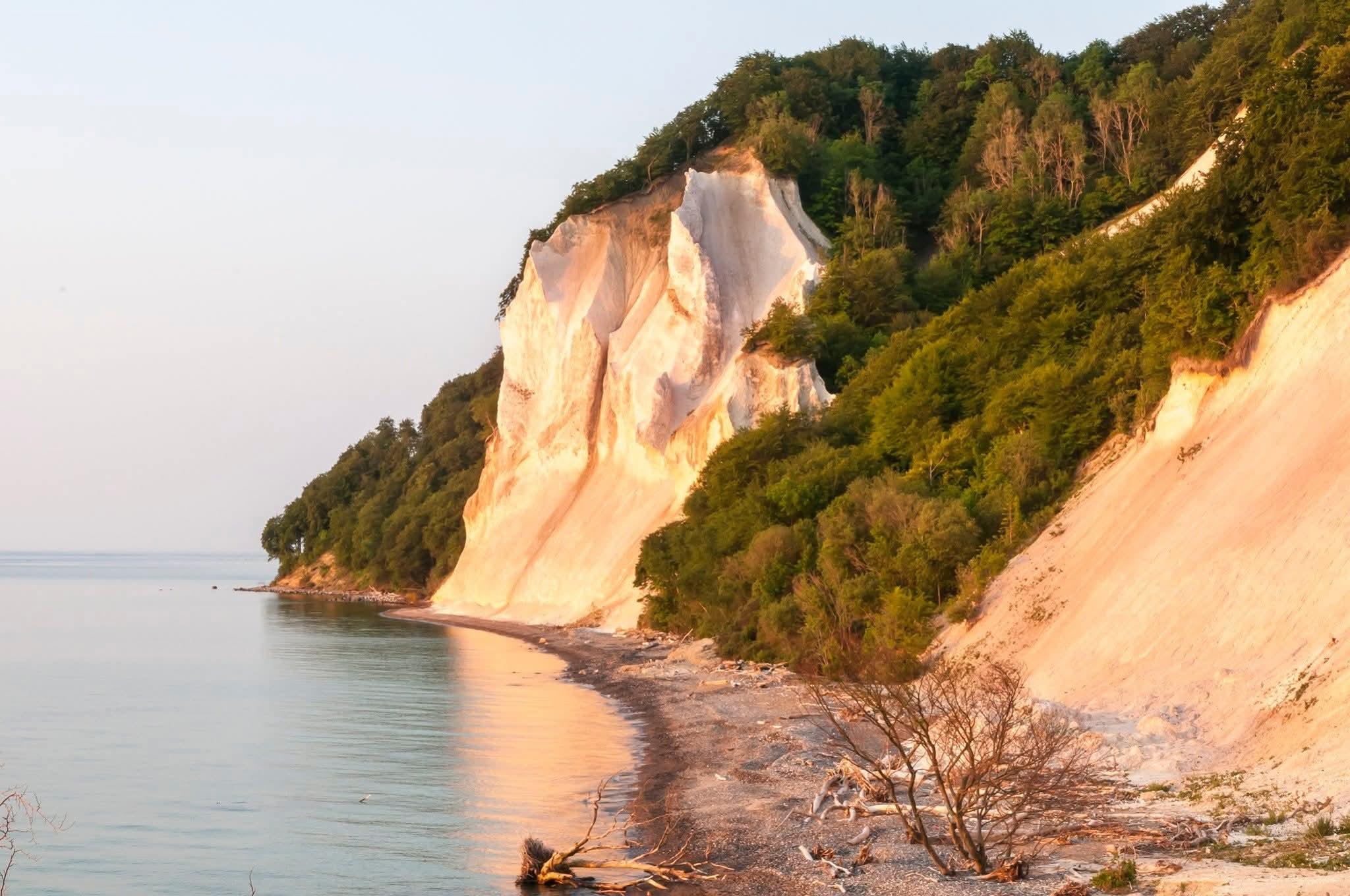 Møns Klint day trip from Copenhagen — image 1