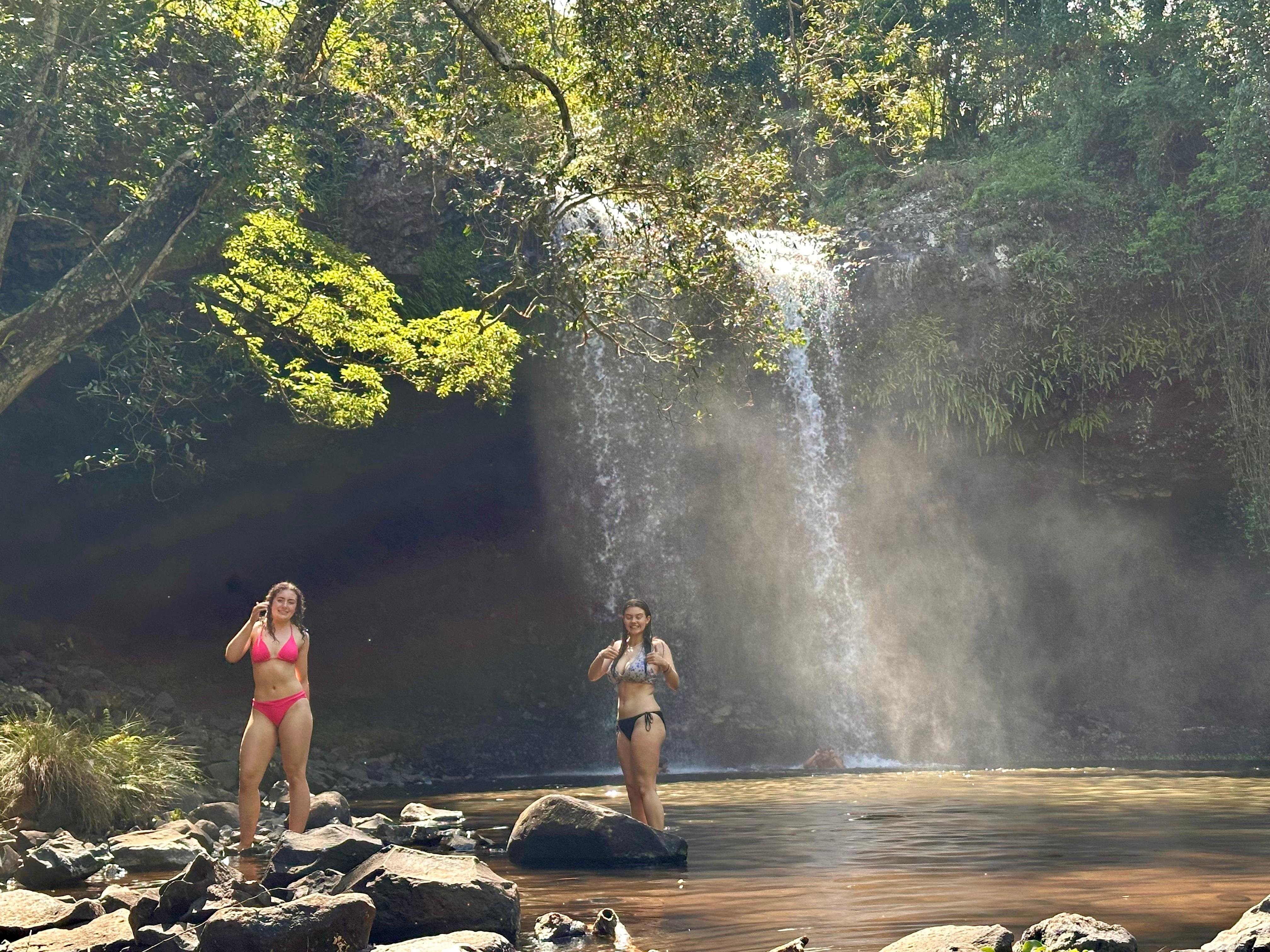 Byron Bay Rainforest & Waterfall Eco-Adventure