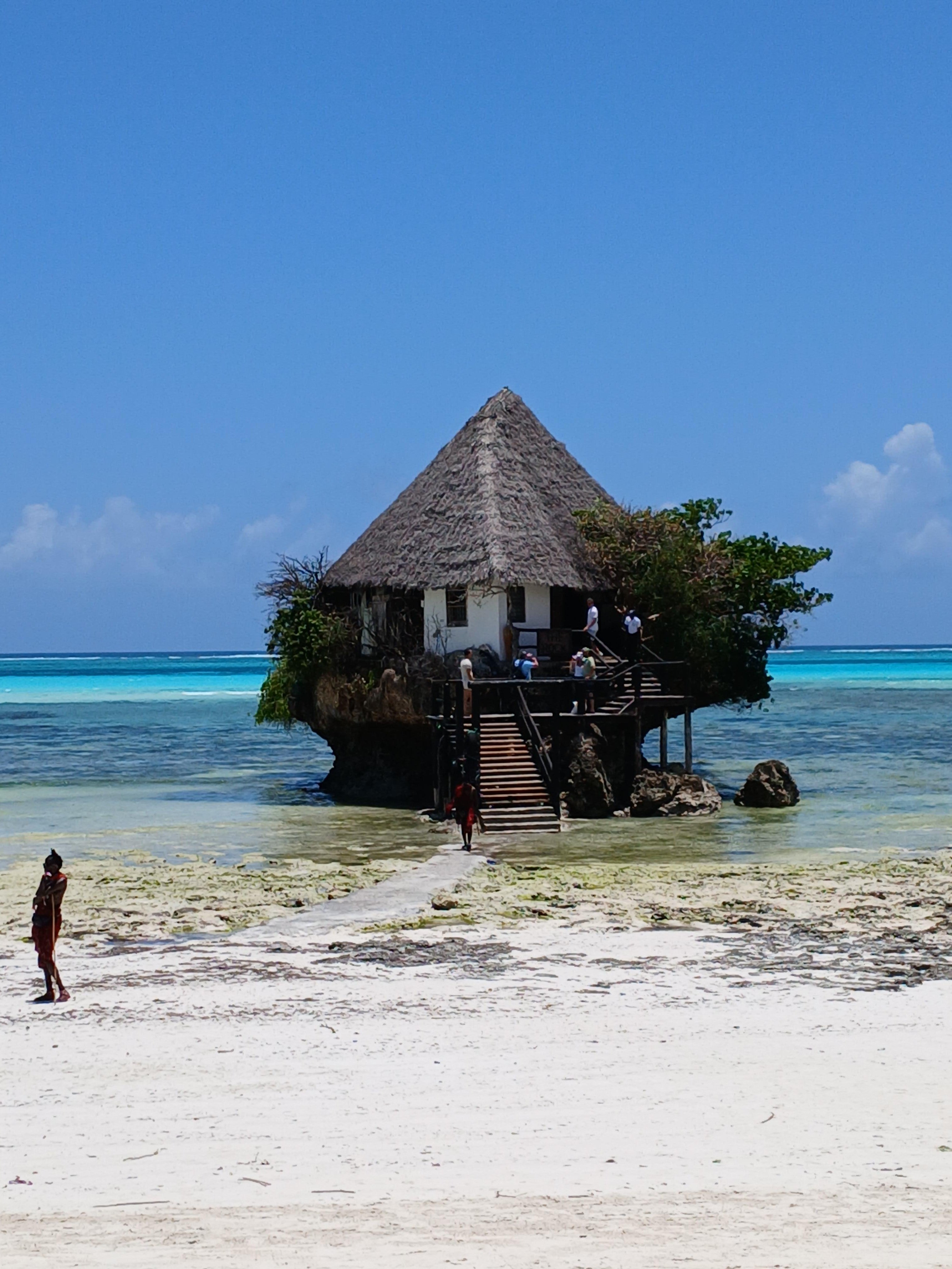Zanzibar Jozani Forest & The Rock Restaurant Day Tour