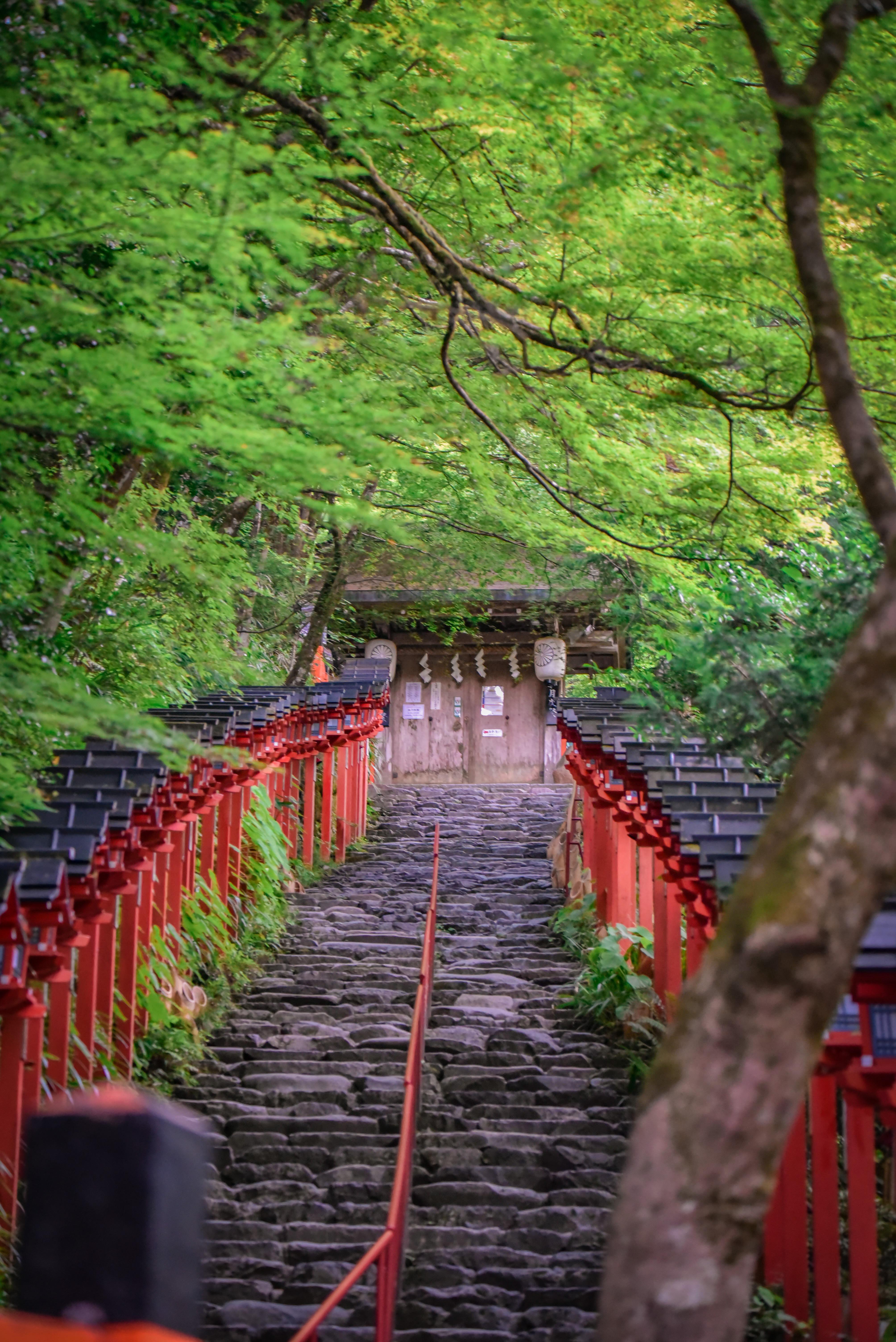 Kyoto Private Day Tour with Guide & Vehicle