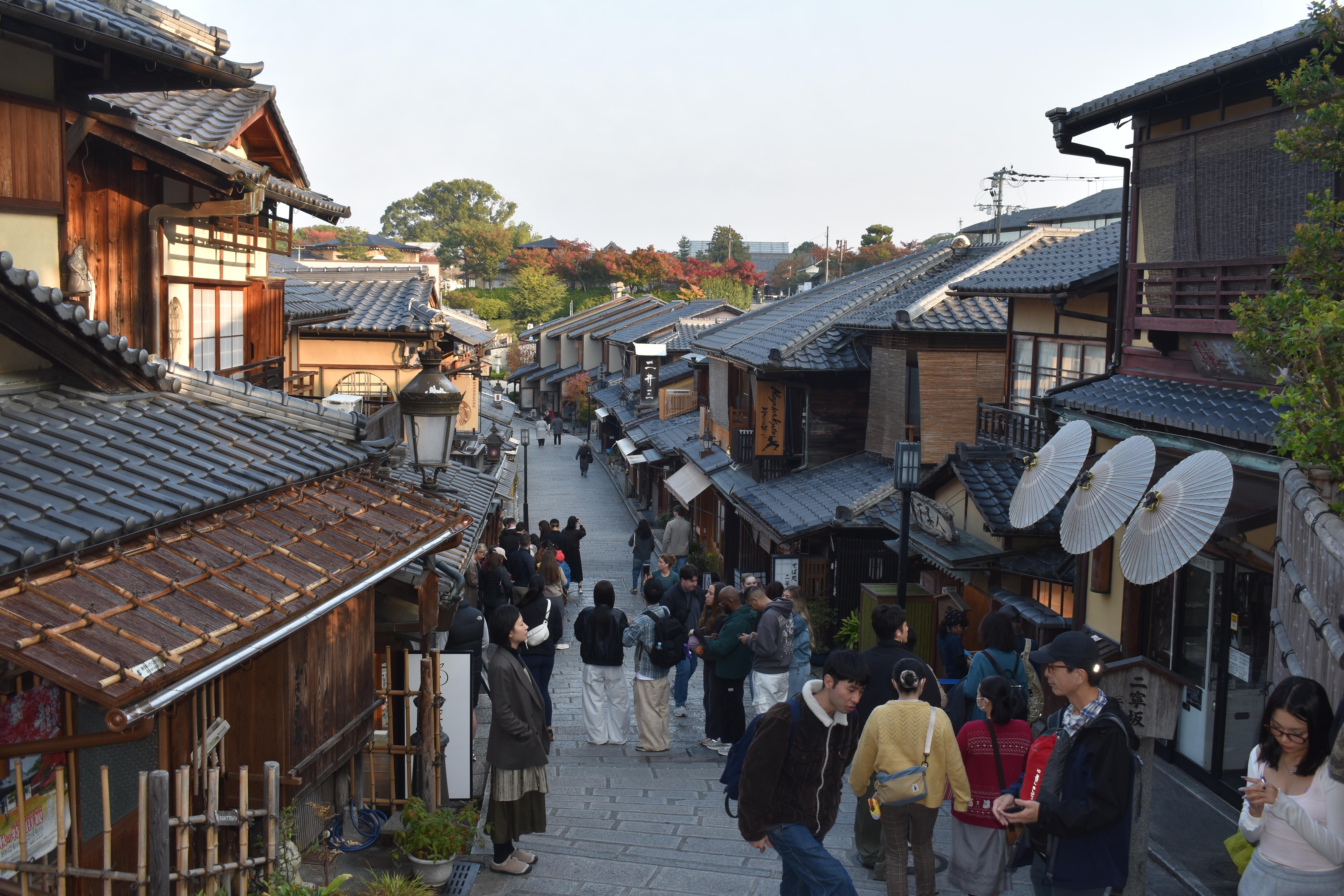 Kyoto Gion & Pontocho Cultural Walking Tour