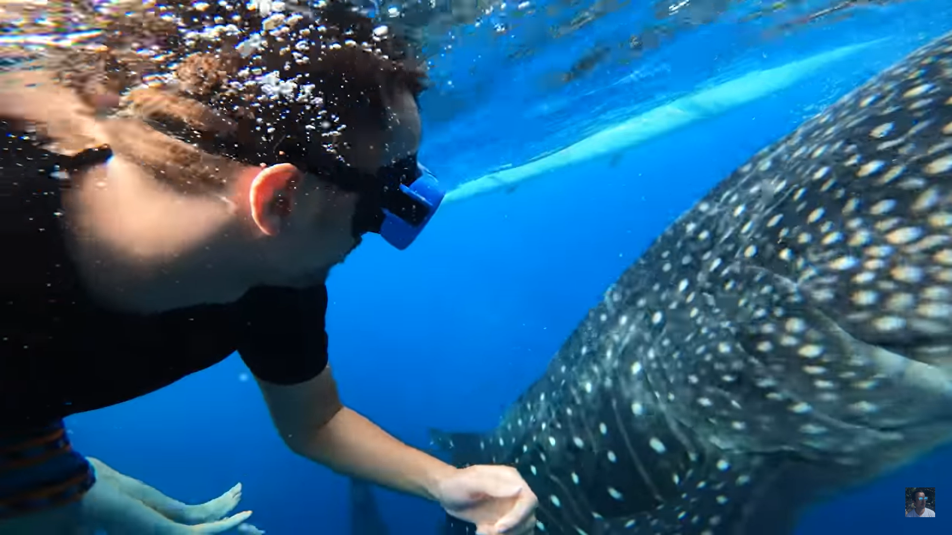 Oslob Triple Adventure: Whale Sharks, Tumalog Falls & Sumilon Island