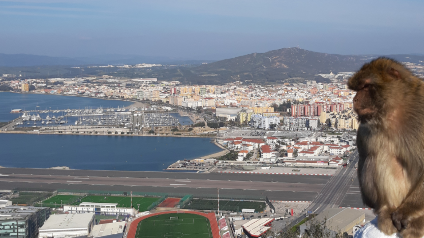 Gibraltar Day Trip from Costa del Sol with Rock Tour