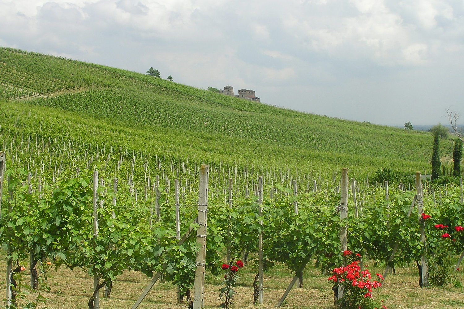 cheese tasting in Parma — photo 3