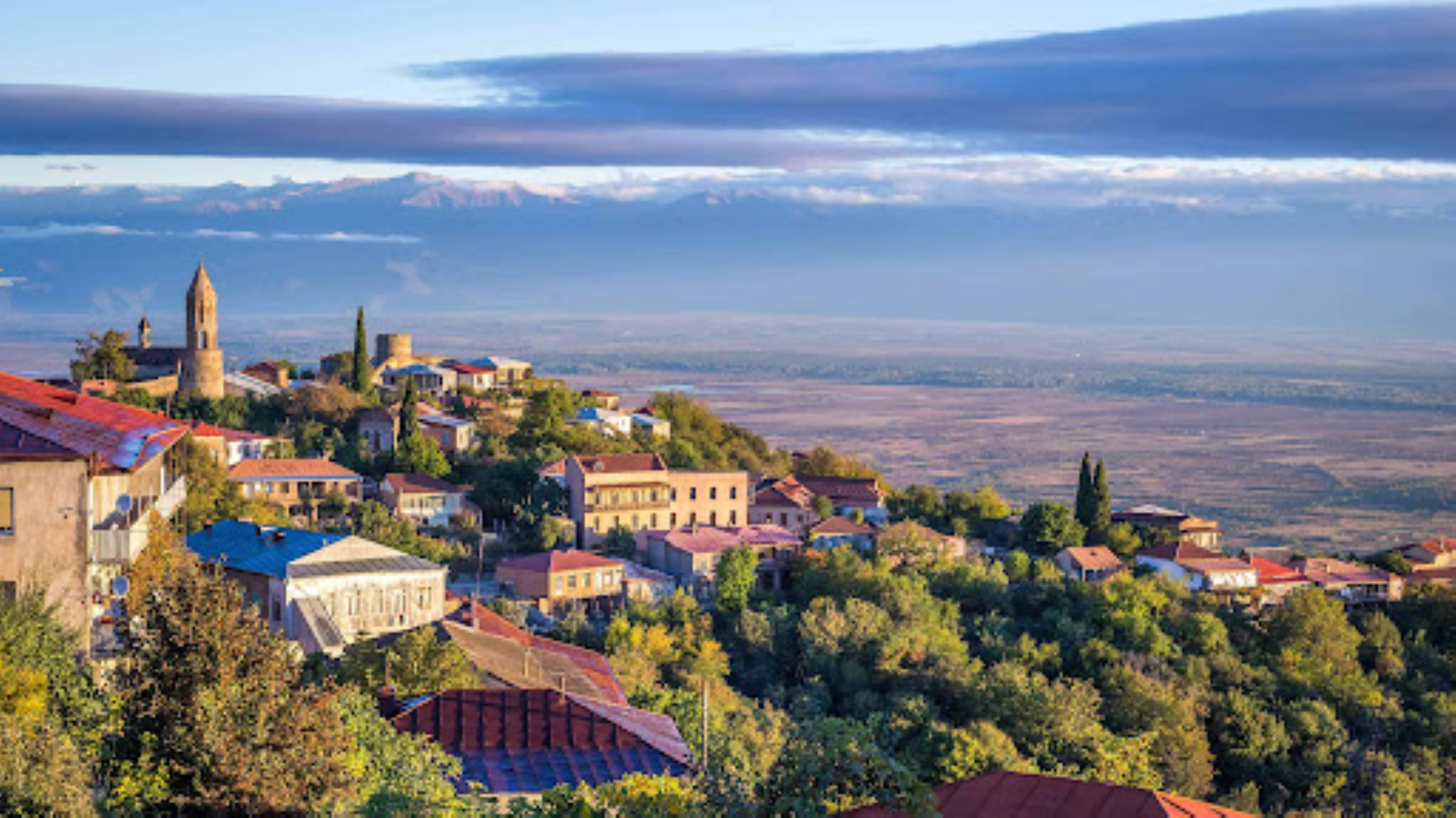 Kakheti Wine Tasting & Sighnaghi Day Tour from Tbilisi