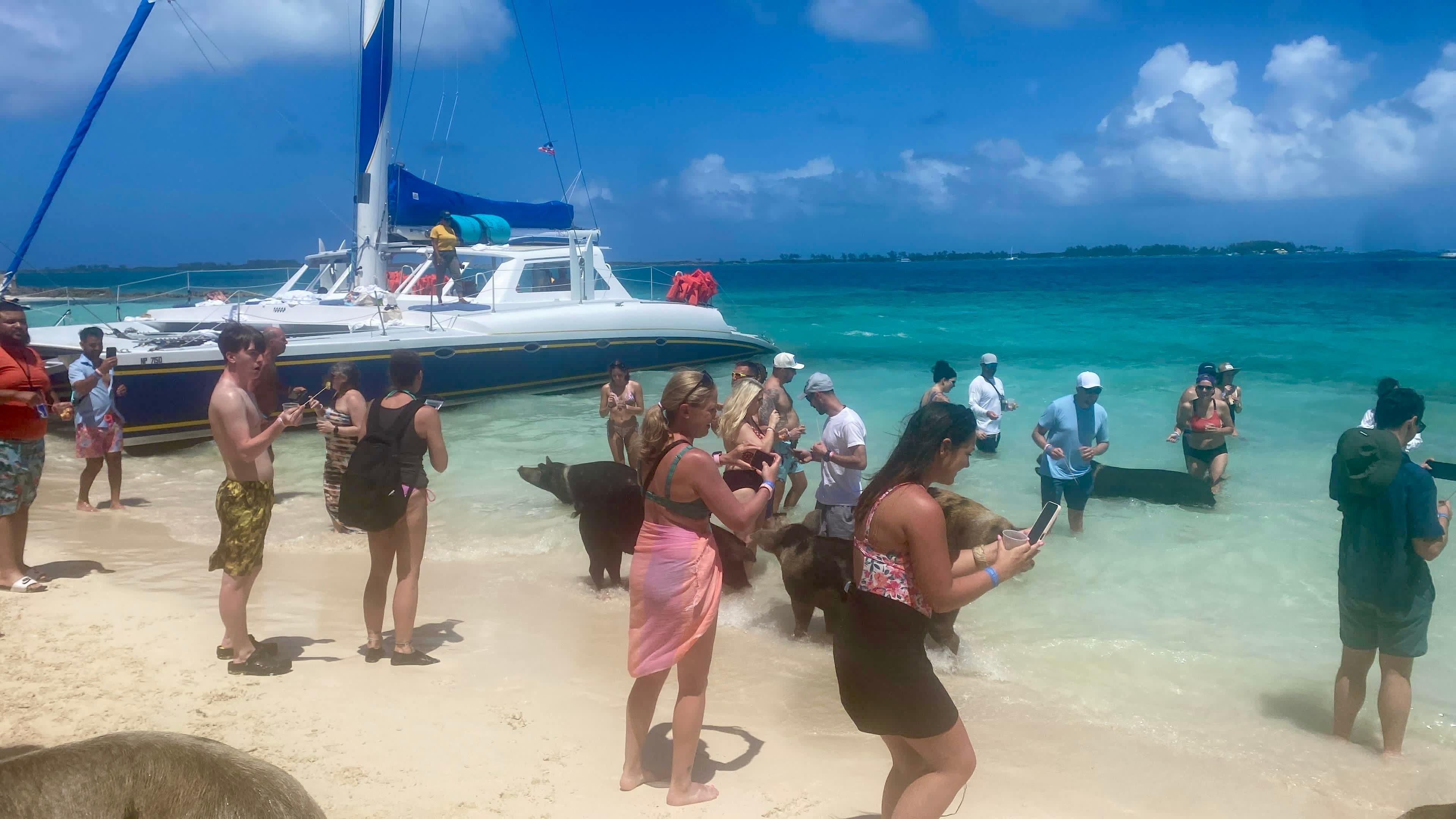 Bahamas Swimming Pigs, Snorkeling & Rum Cruise