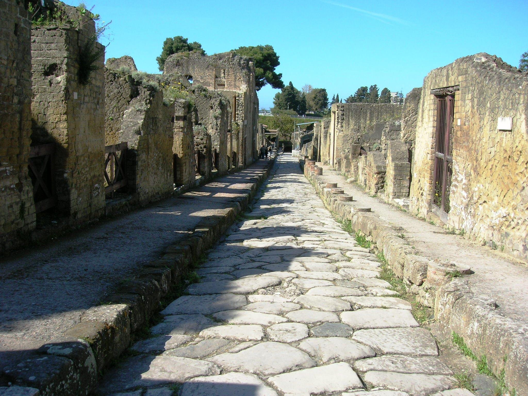 Herculaneum Archaeologist-Led Day Tour from Sorrento