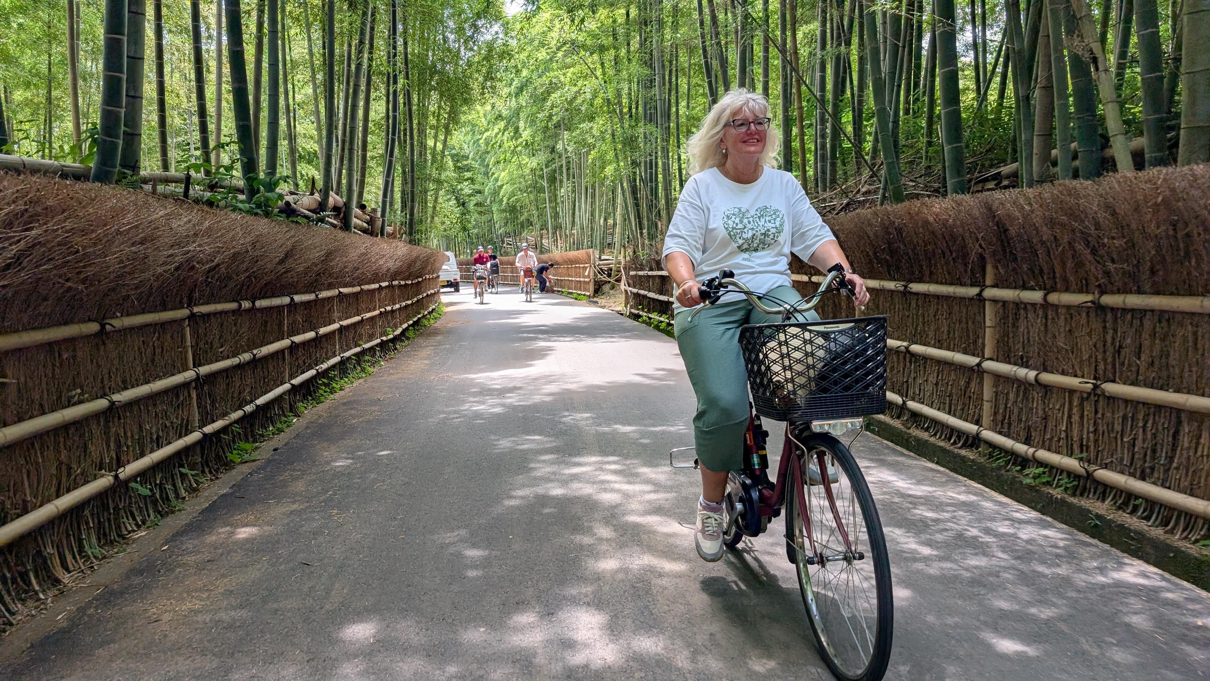 Kyoto Western Countryside E-Bike Adventure