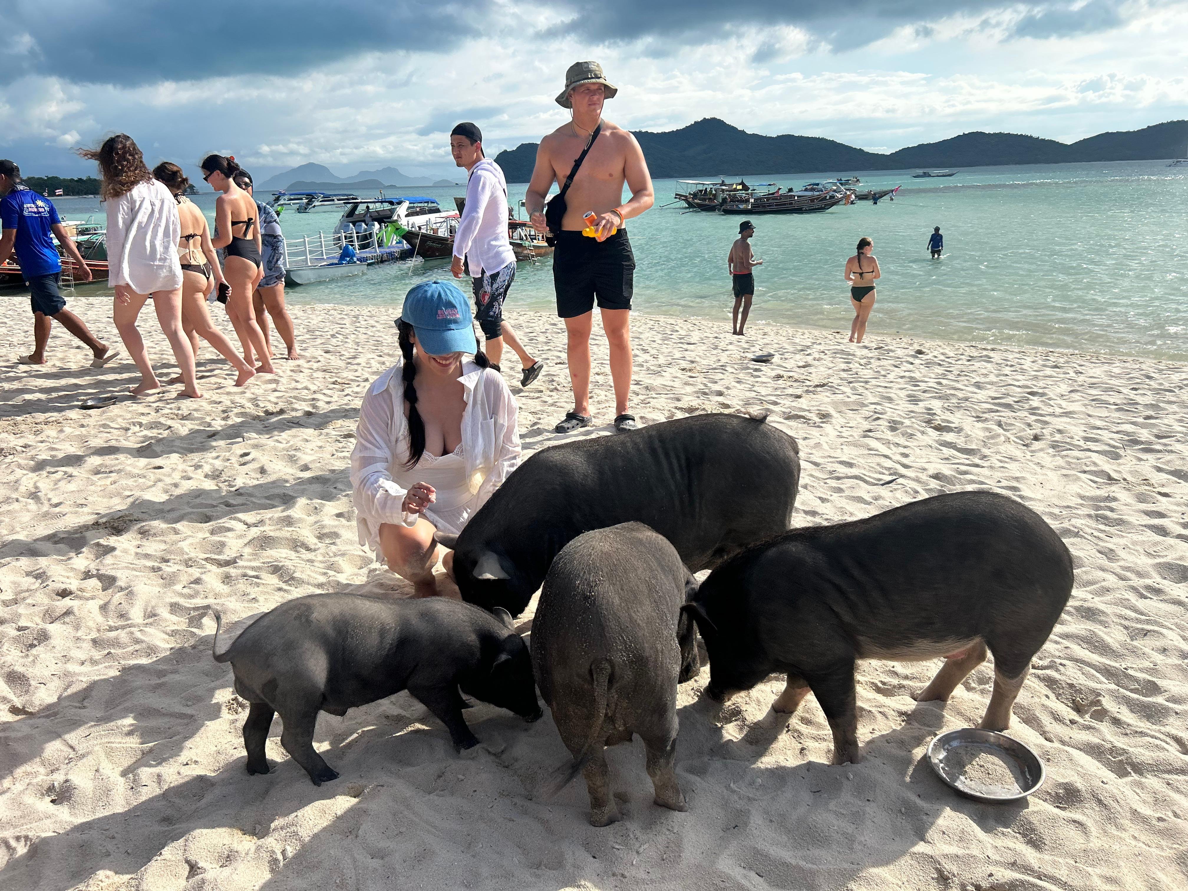 Pig Island & Koh Tan Snorkeling Express