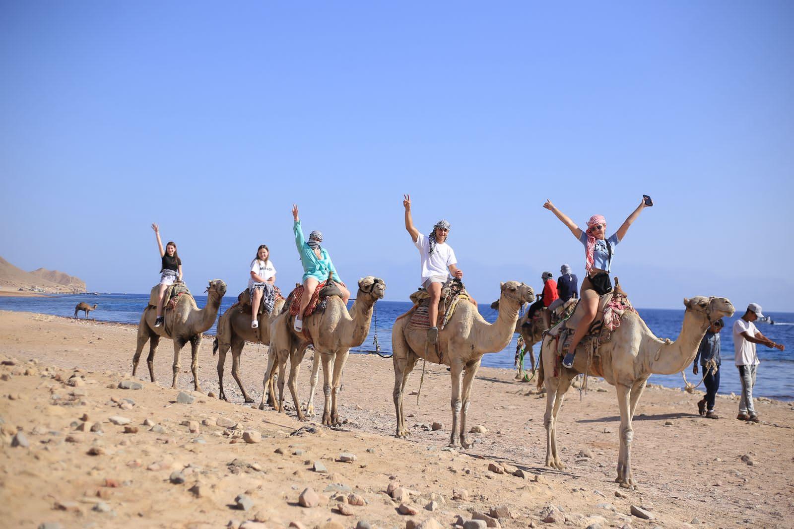 Sinai Desert & Dahab Full-Day Adventure from Sharm El Sheikh