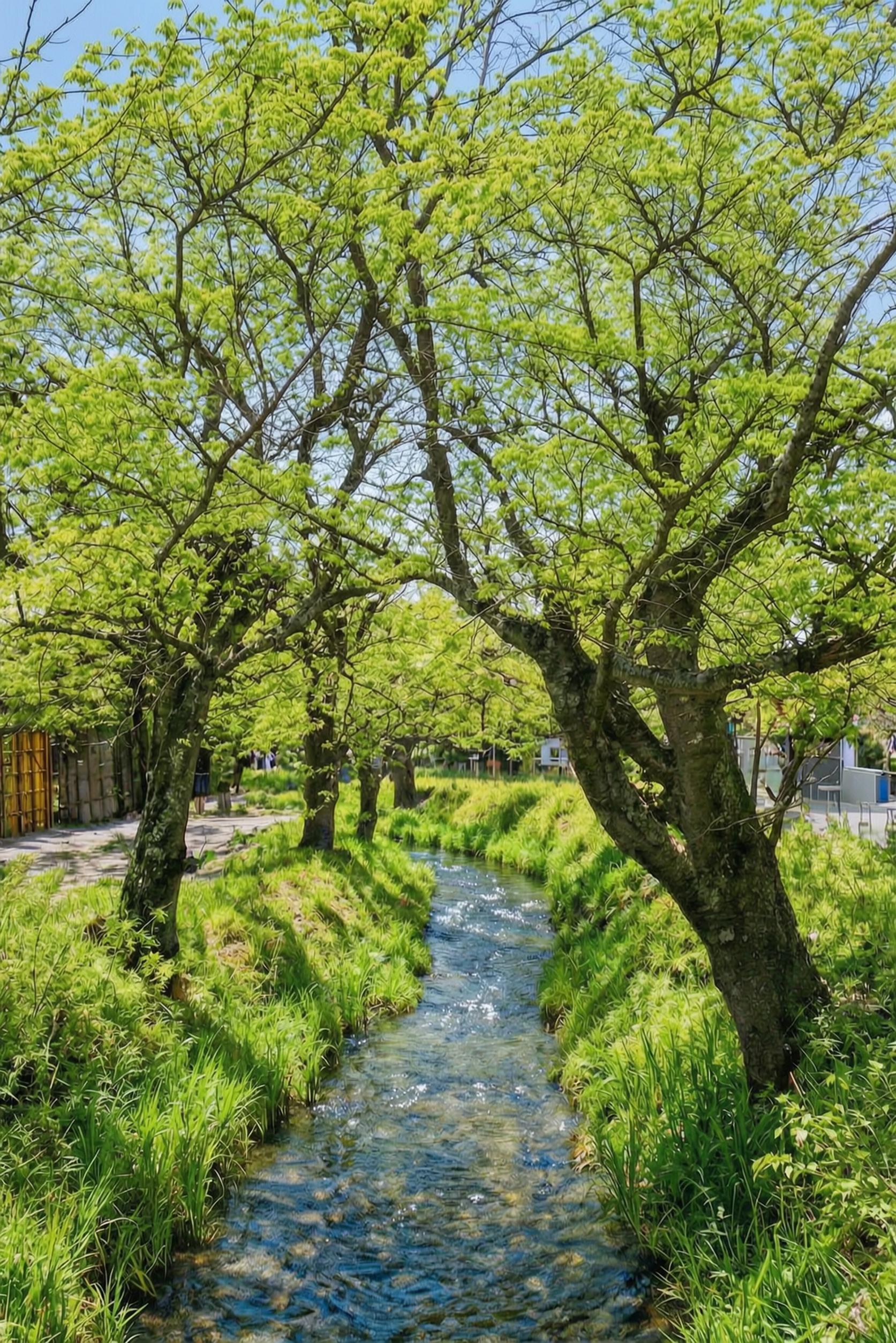 Tokyo Day Trip: Mt. Fuji, Chureito Pagoda & Oshino Hakkai