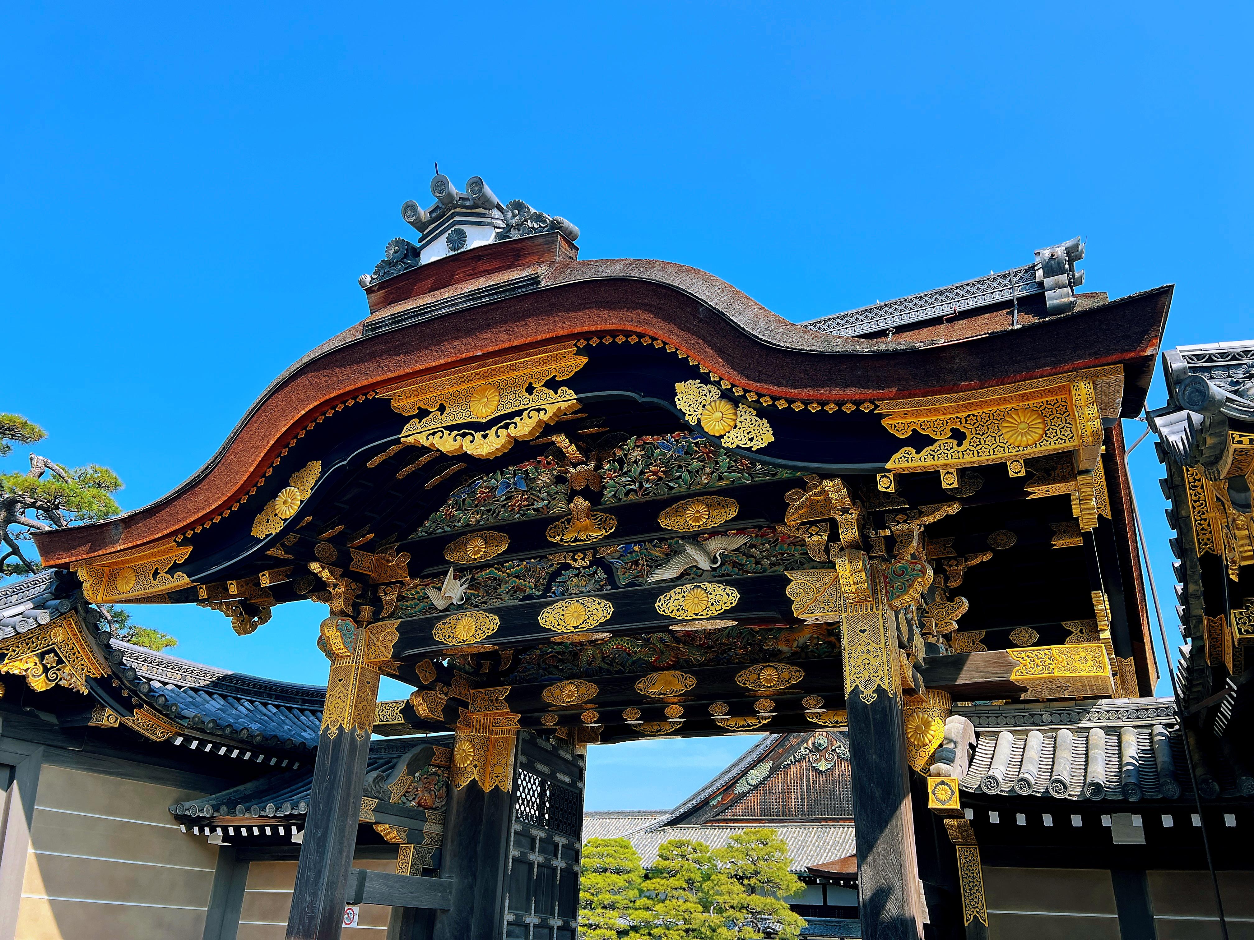 Kyoto Nijo-jo Castle: Private Samurai & Shogun History Tour
