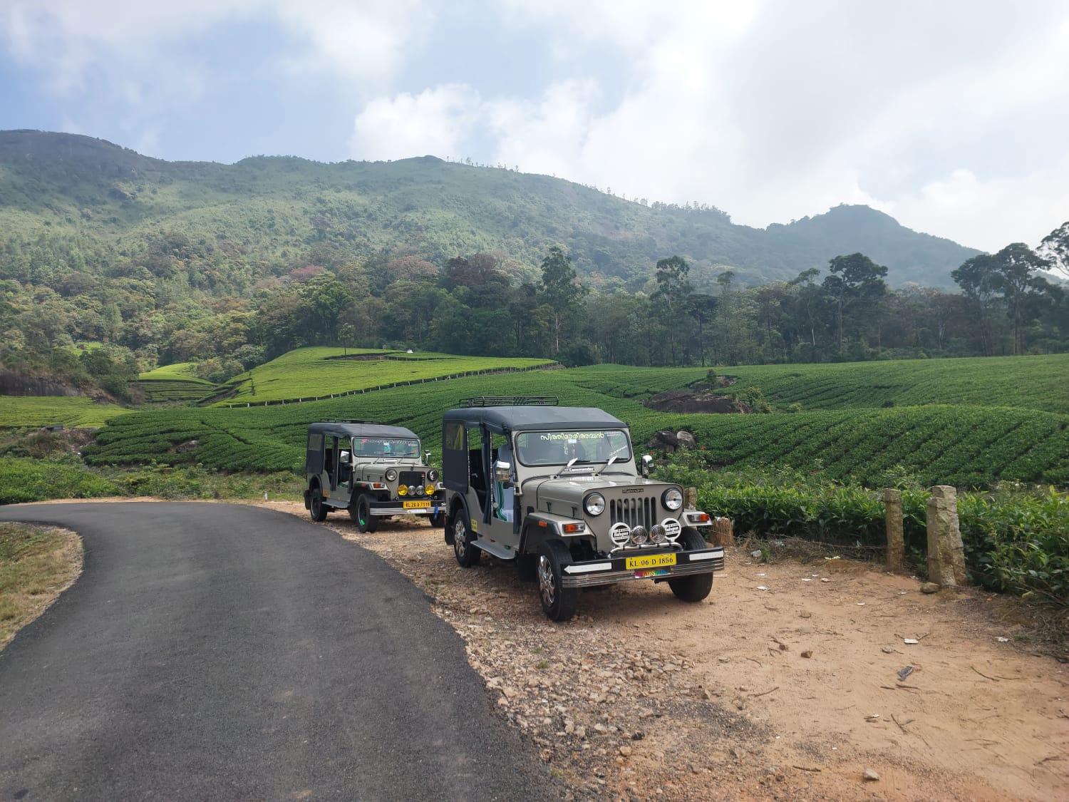 Munnar Wild Elephant Jeep Safari & Waterfall Tour