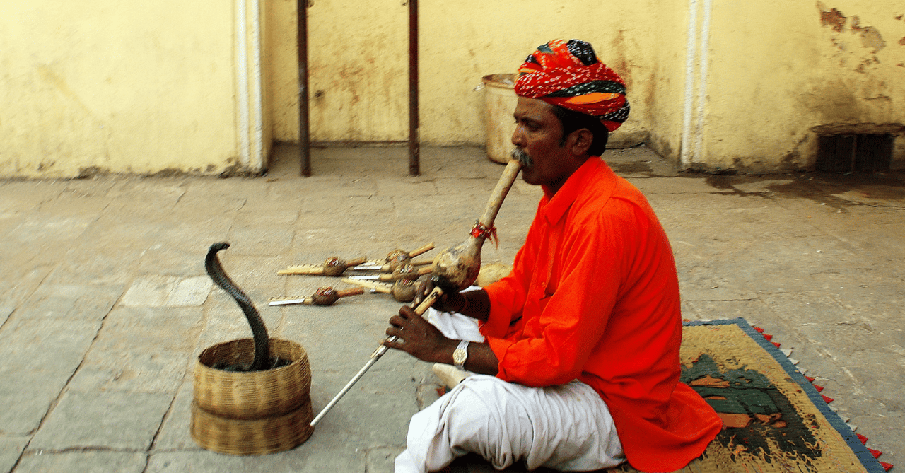 Jaipur Private Full-Day City Tour by Car & Guide