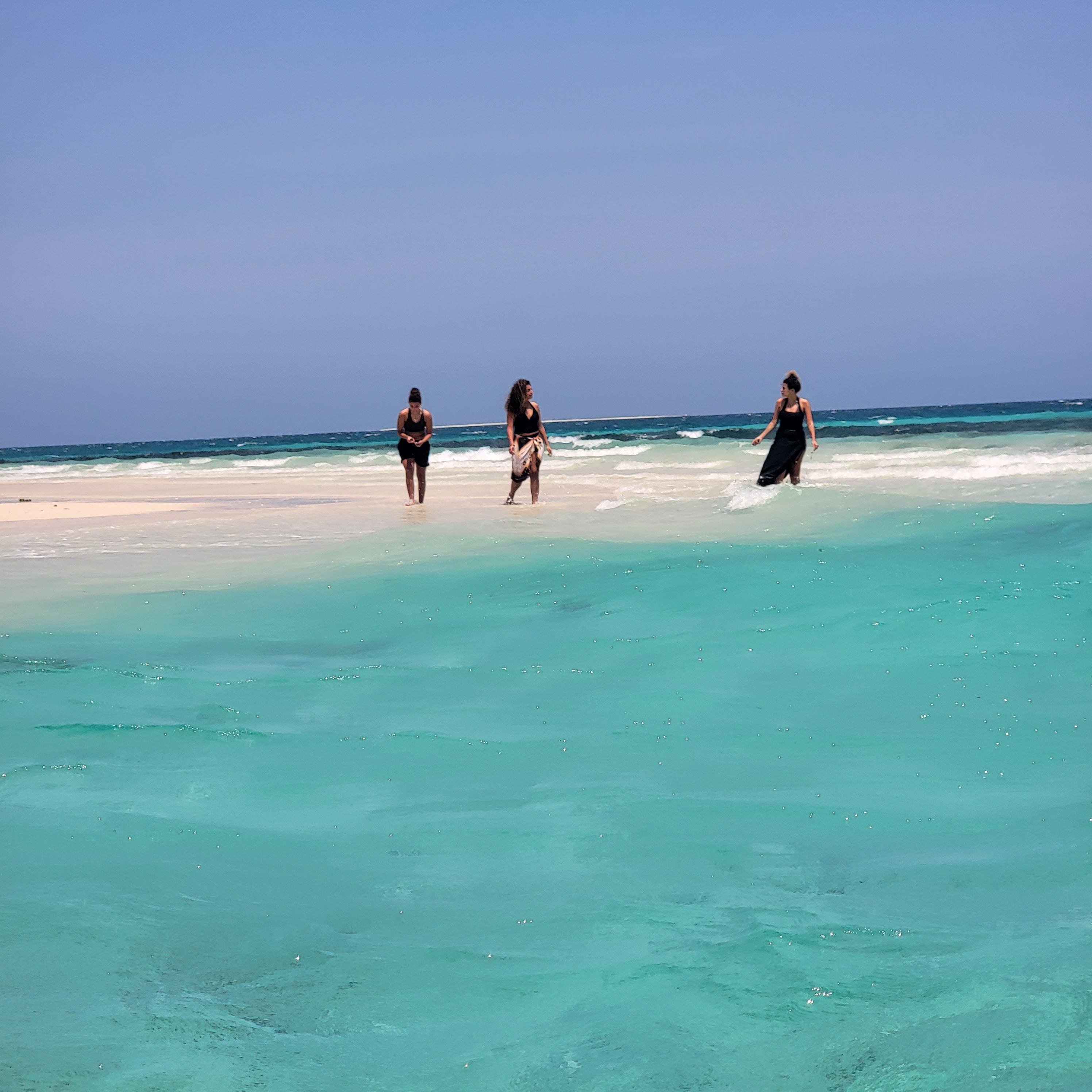 Safari Blue Zanzibar – Full-Day Shared Ocean Adventure
