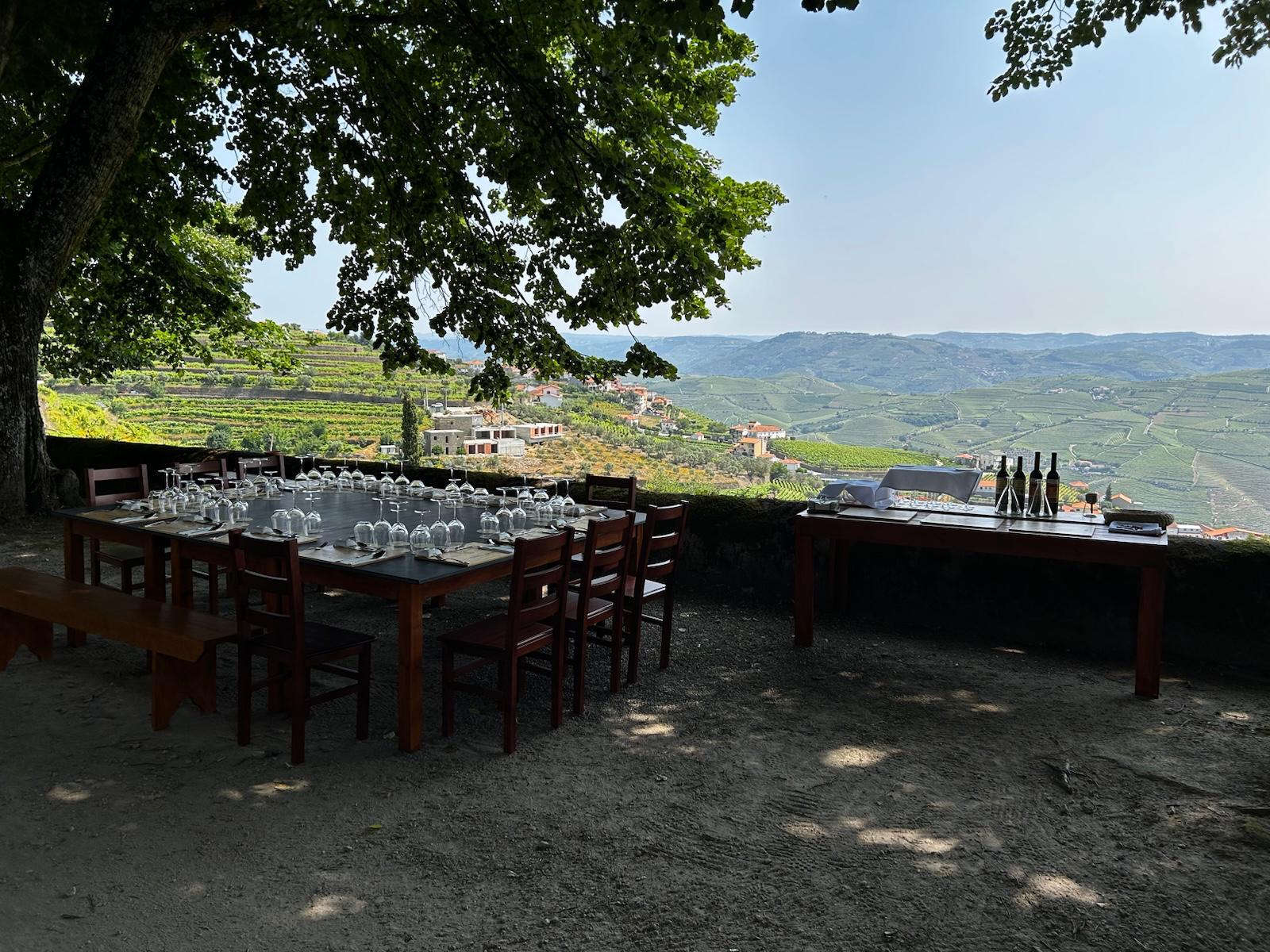 olive oil tasting in Peso da Régua — photo 9