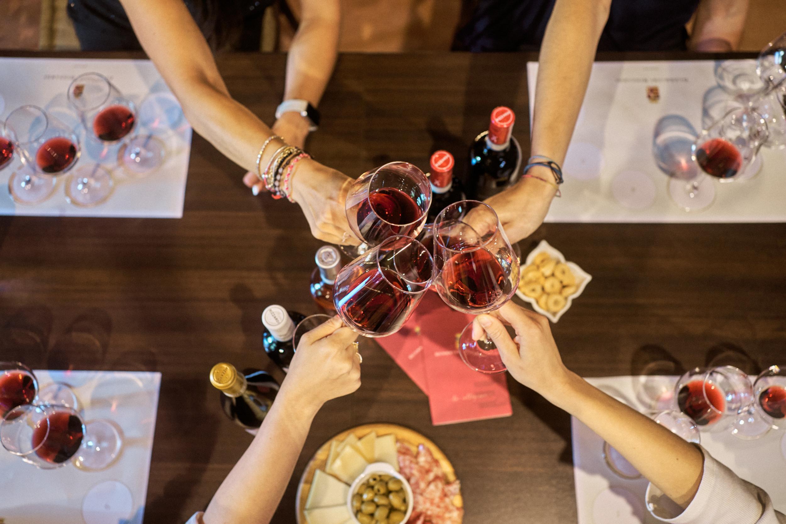 Guerrieri Rizzardi Estate Wine Tasting in Bardolino