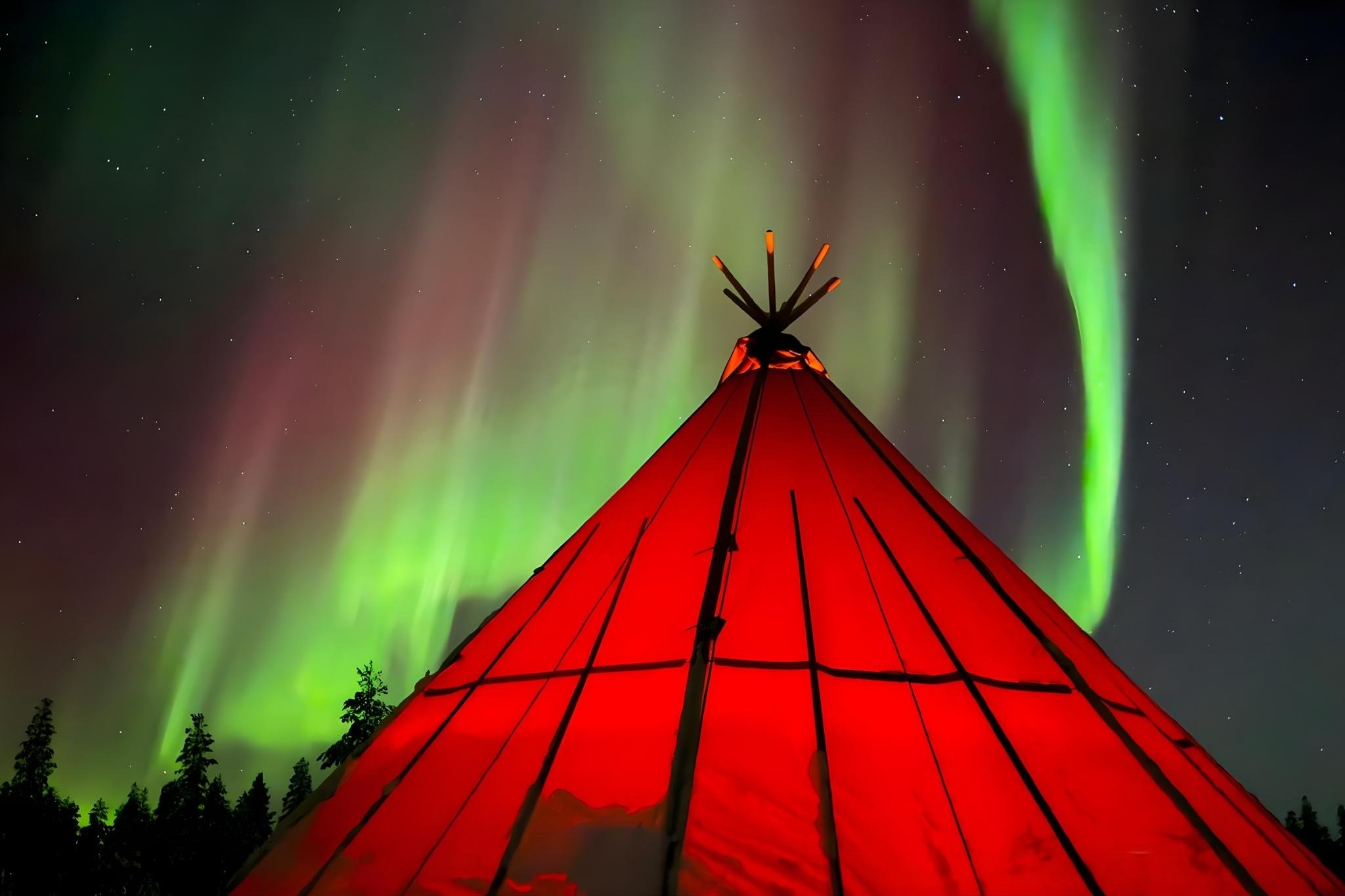 Rovaniemi: Santa Claus & Northern Lights Forest Experience