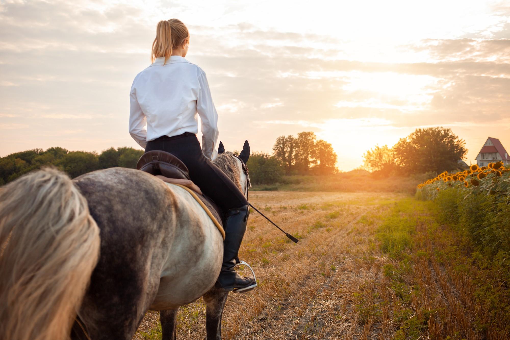 Evening Horseback Ride with Hotel Transfer