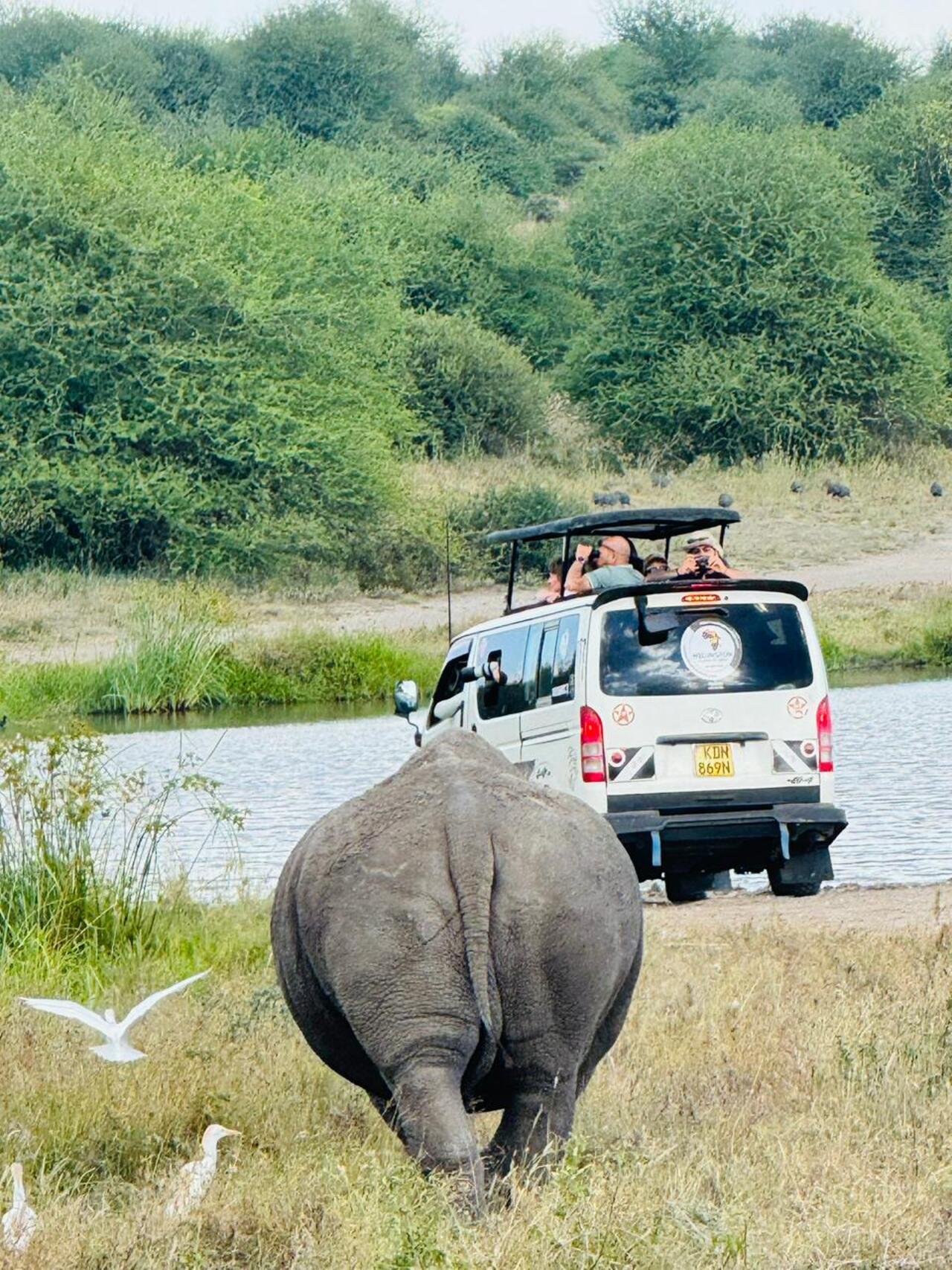 Nairobi National Park 5-Hour 4x4 Wildlife Safari