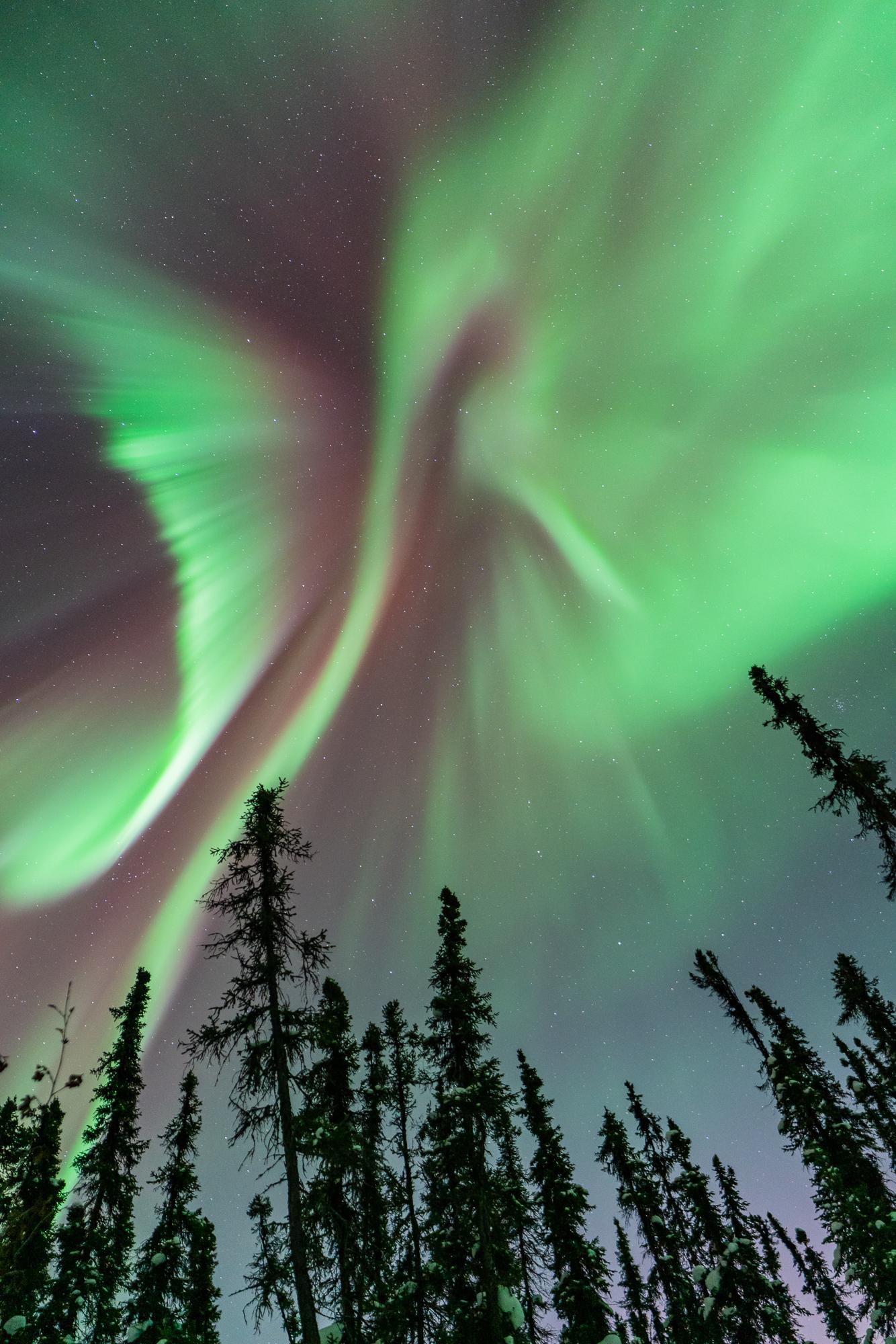 Fairbanks Northern Lights Hunting Experience