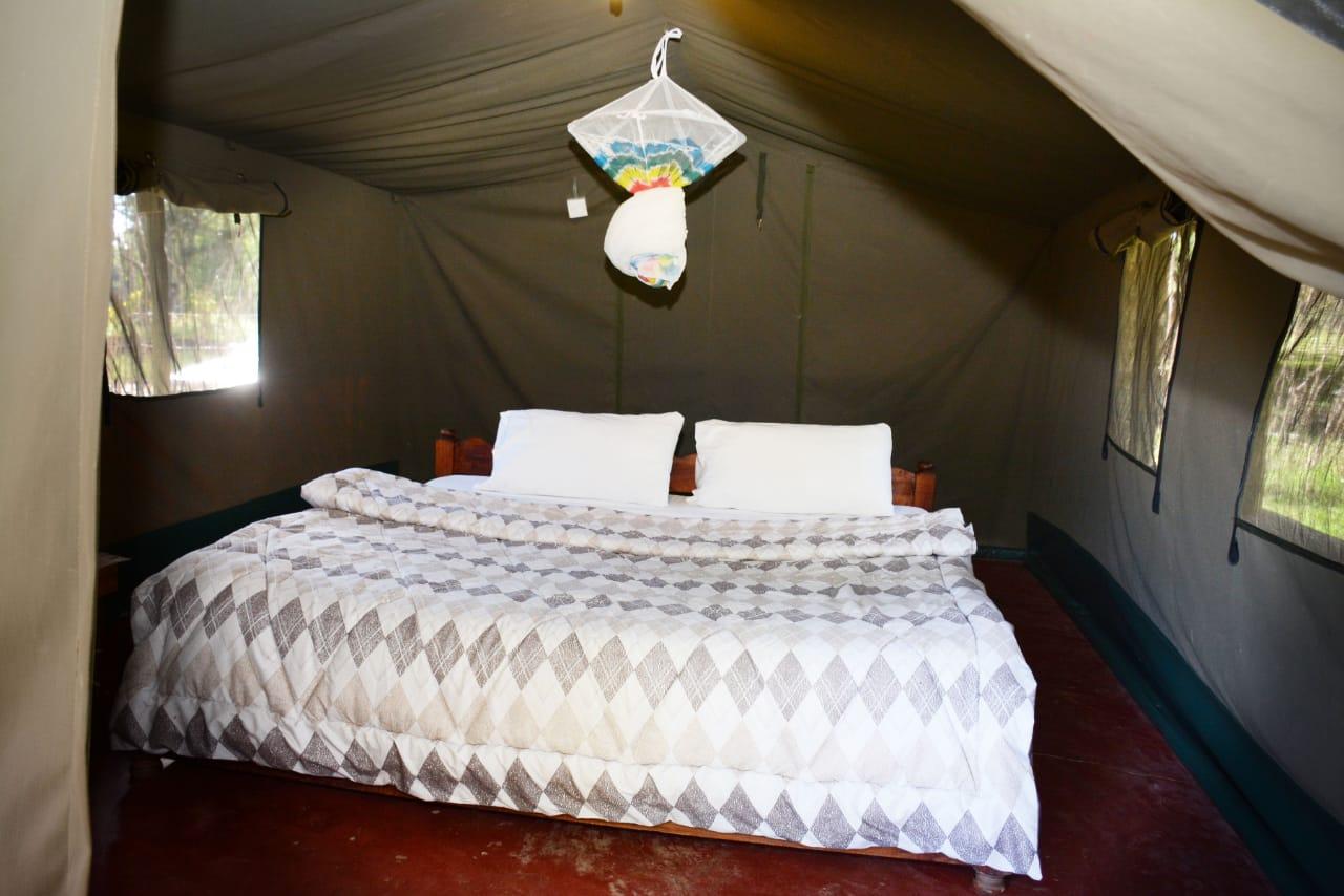 5-Day Private Kenya Safari: Maasai Mara, Nakuru & Naivasha