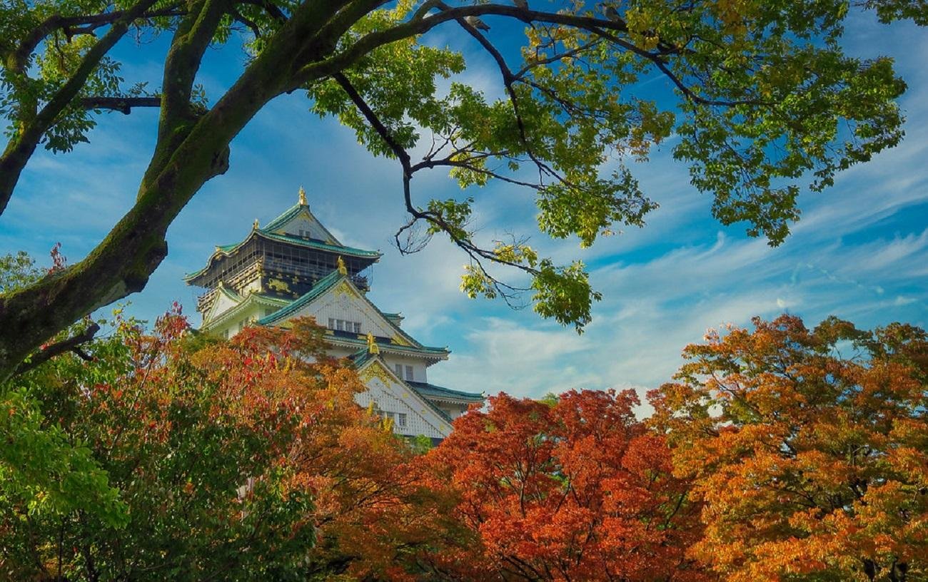 Osaka Castle & Samurai Heritage Walking Tour