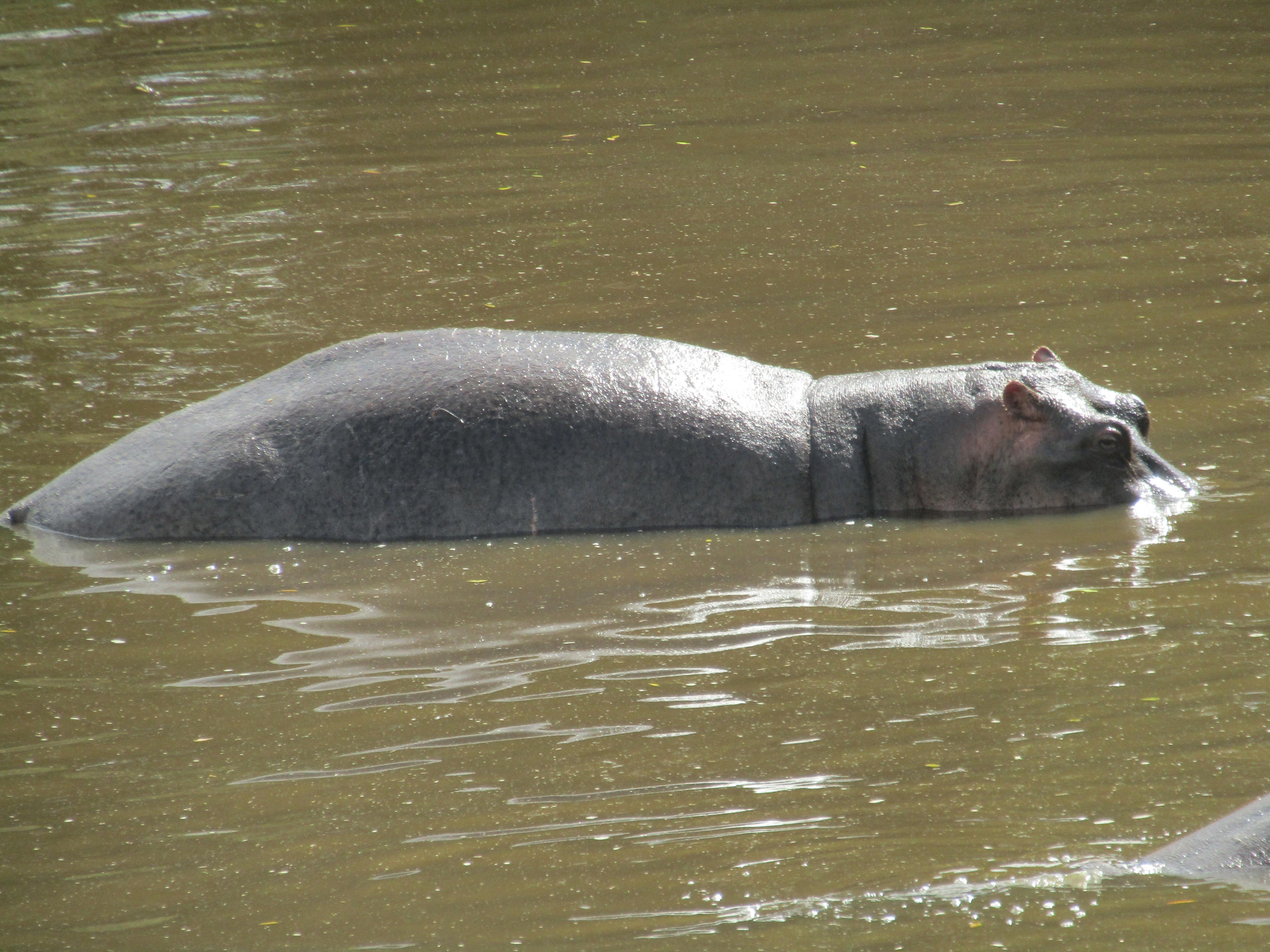 3-Day Masai Mara Safari Adventure from Nairobi
