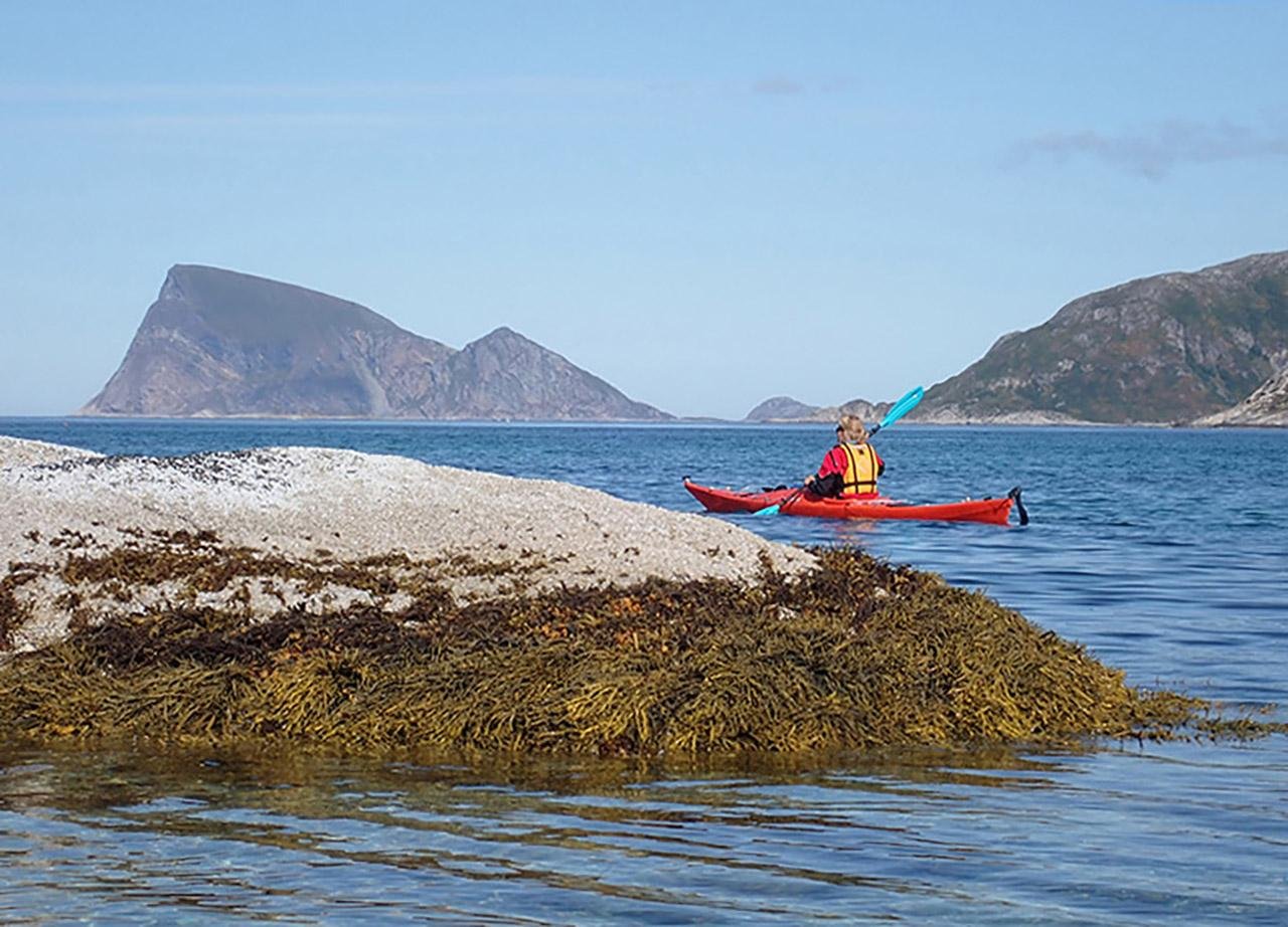 Sommarøy kayaking — guided sea kayak tour through the Arctic archipelago near Tromsø — image 6