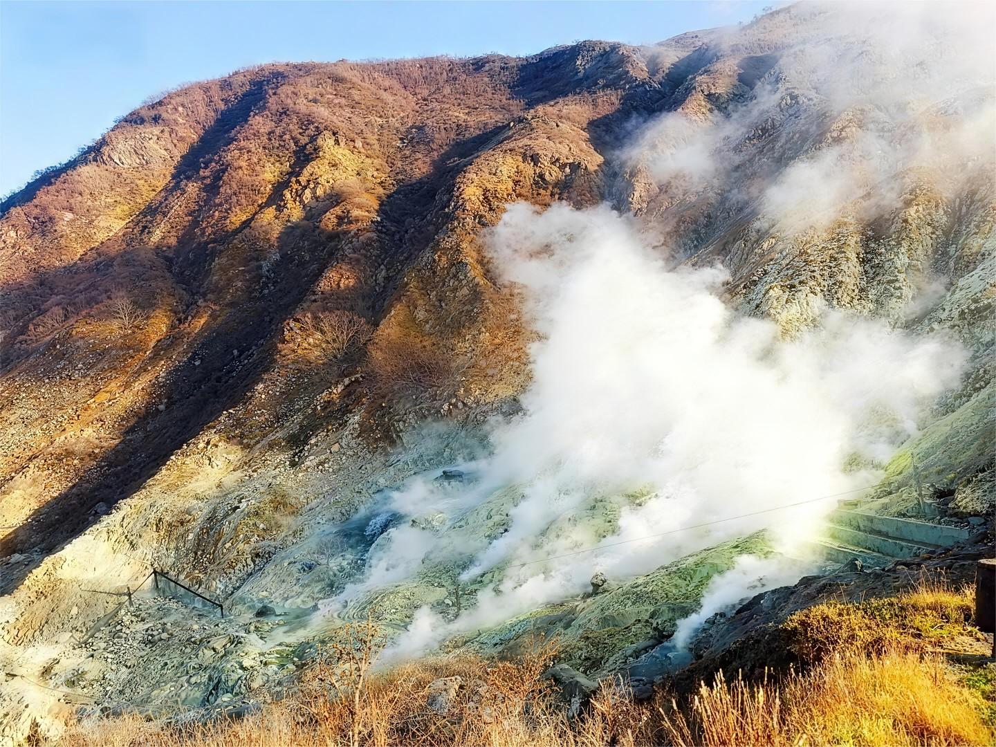 Hakone Private Day Tour: Owakudani, Ropeway & Matcha Cruise from Tokyo