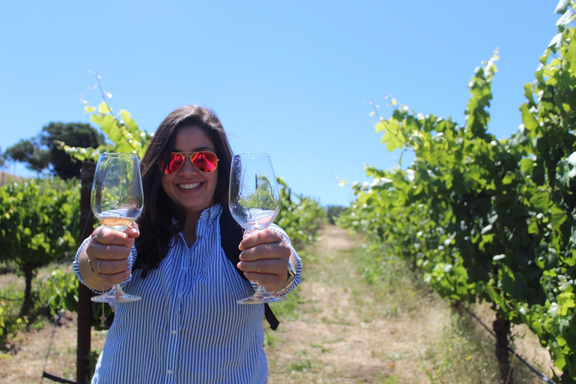 San Francisco: Napa and Sonoma Valley Wine Tour
