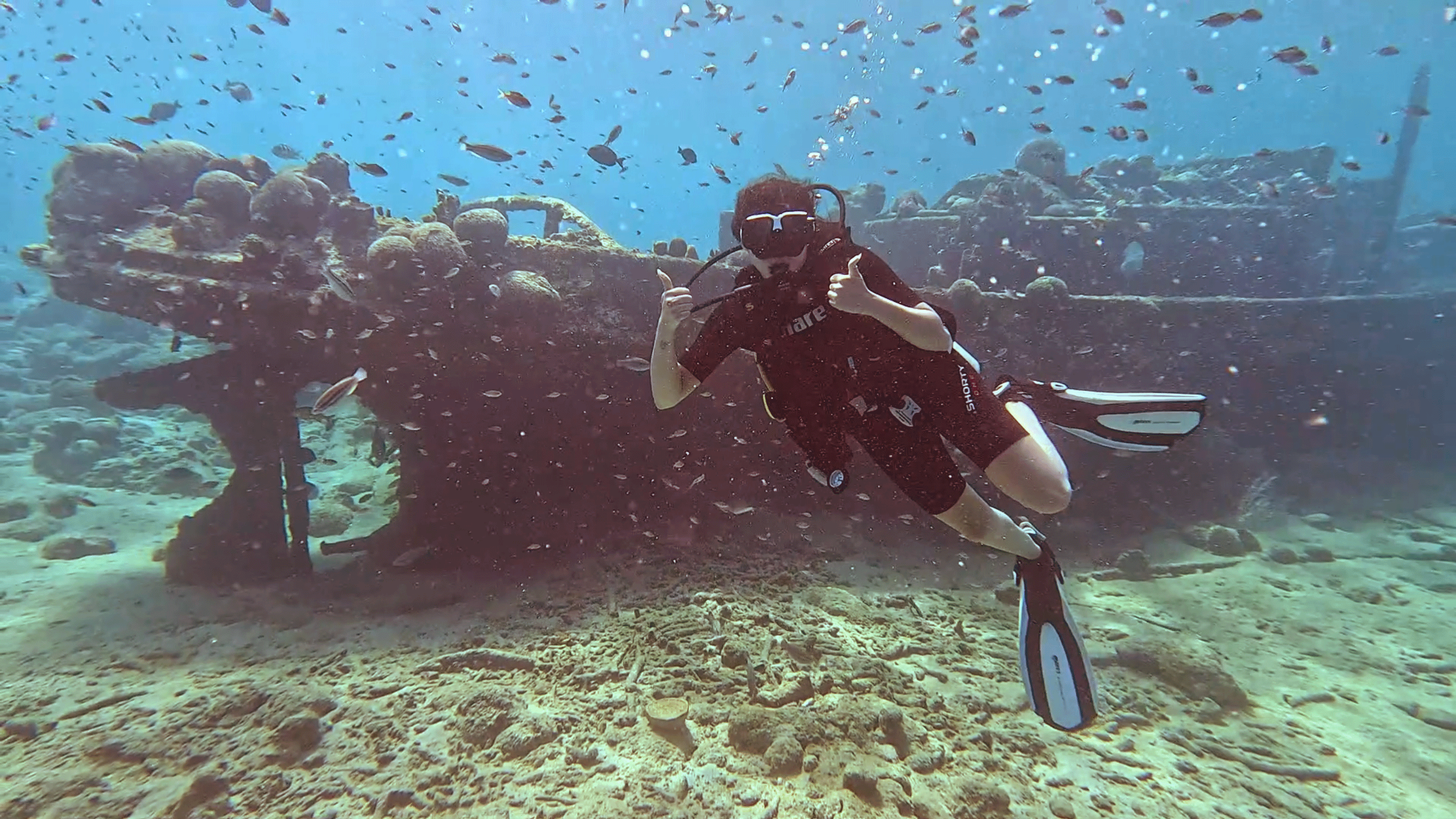Private Beginner Scuba Diving in Curaçao