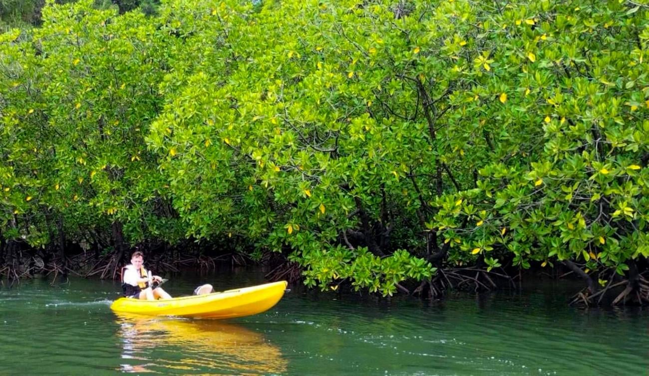 Ao Thalane Mangrove Kayak Adventure – Krabi