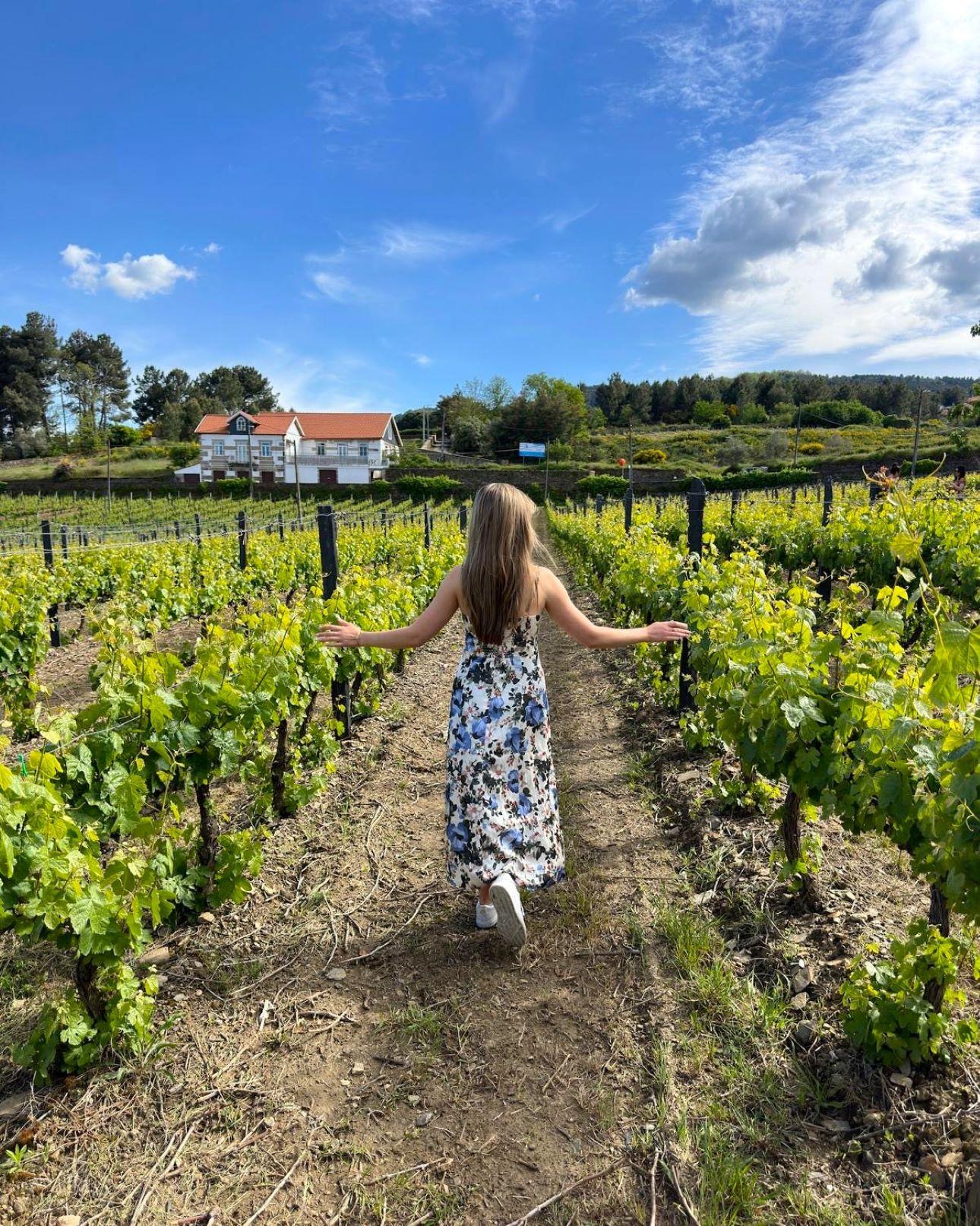 Douro Valley Small-Group Wine & River Cruise Day Trip from Porto