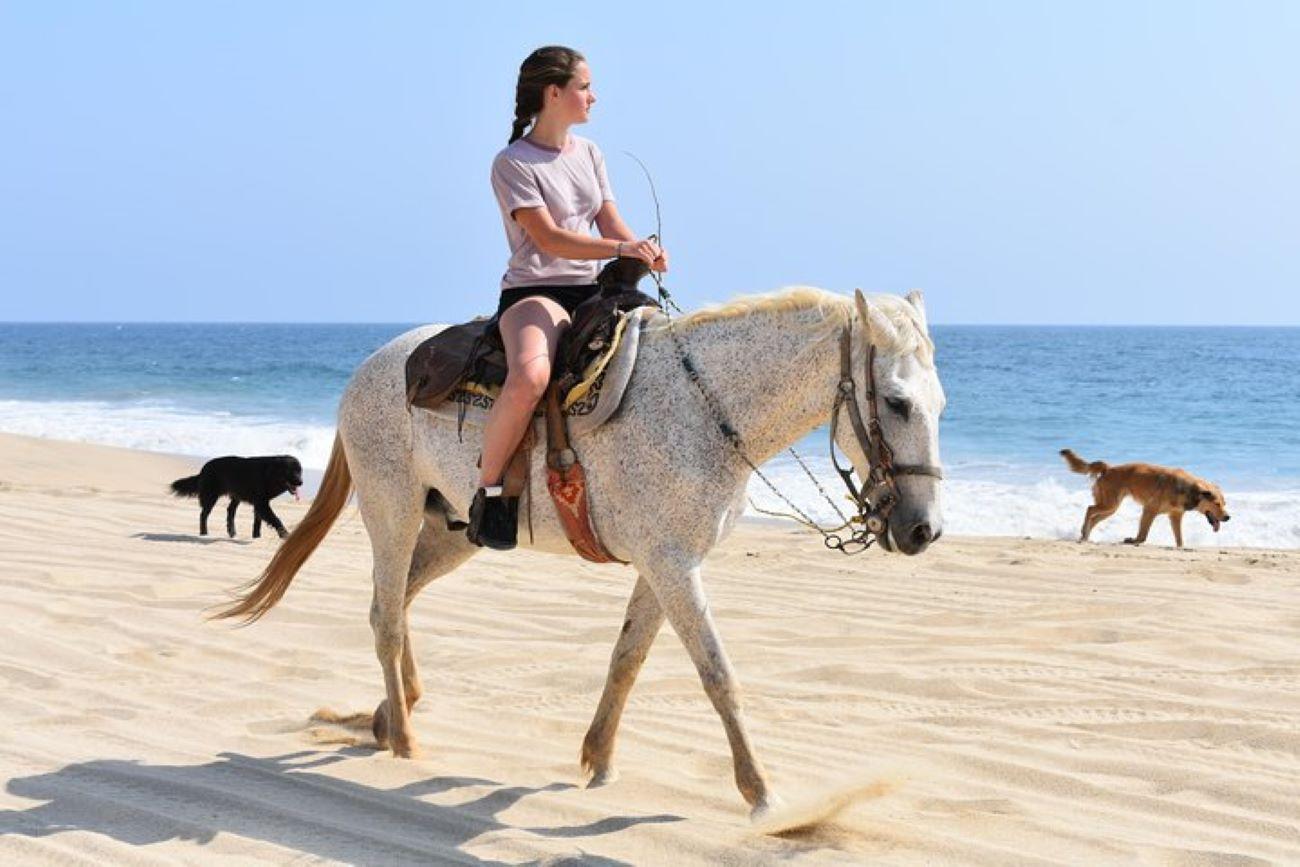 Cabo Desert ATV & Beach Horseback Combo