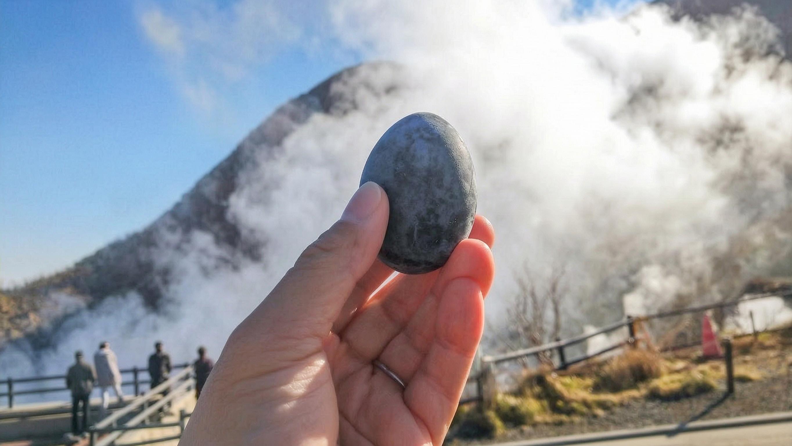 Hakone & Enoshima Day Tour: Ropeway, Pirate Ship & Mt. Fuji Views