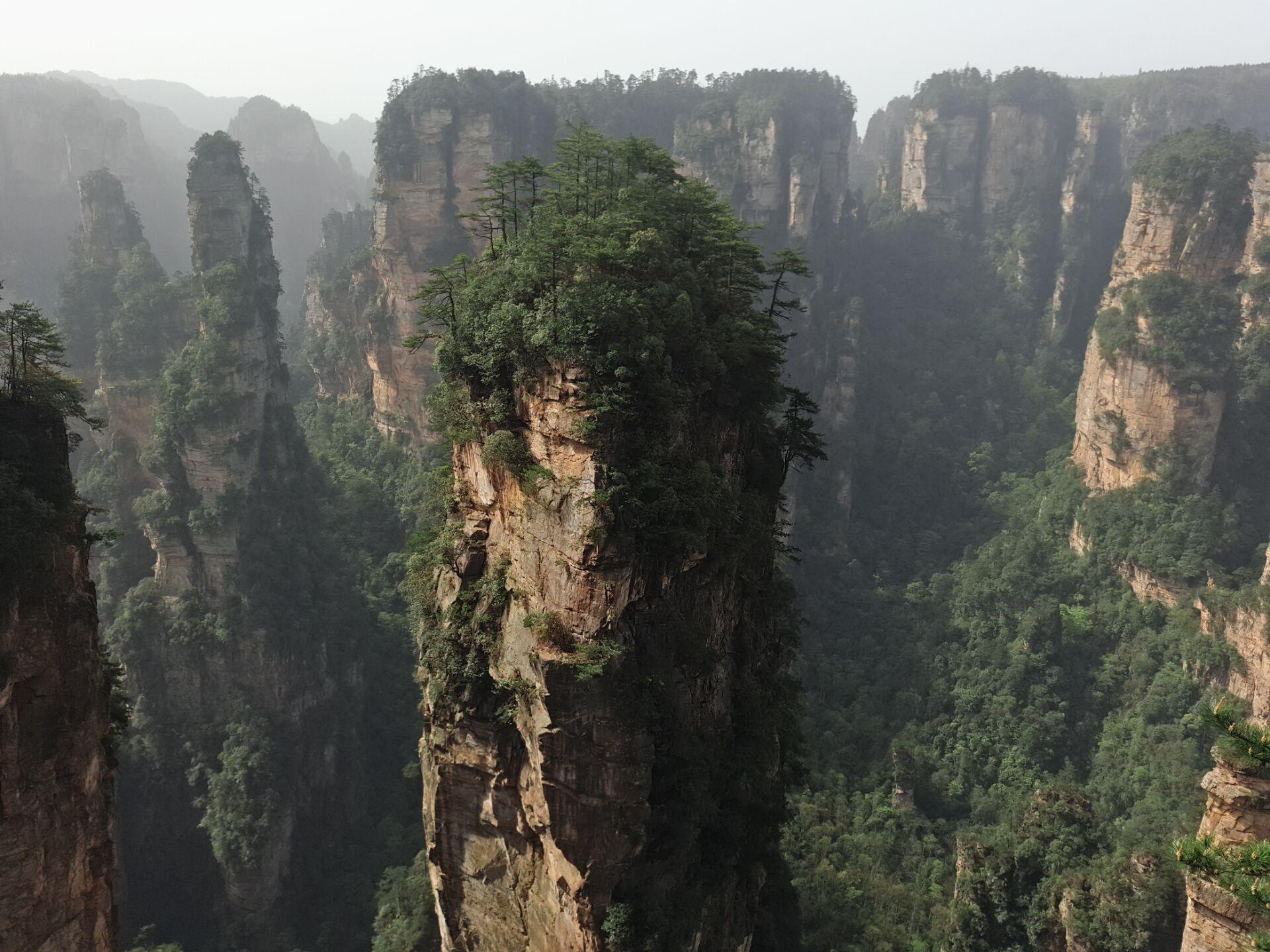 Zhangjiajie National Forest Park: Multi-Day Entry Ticket