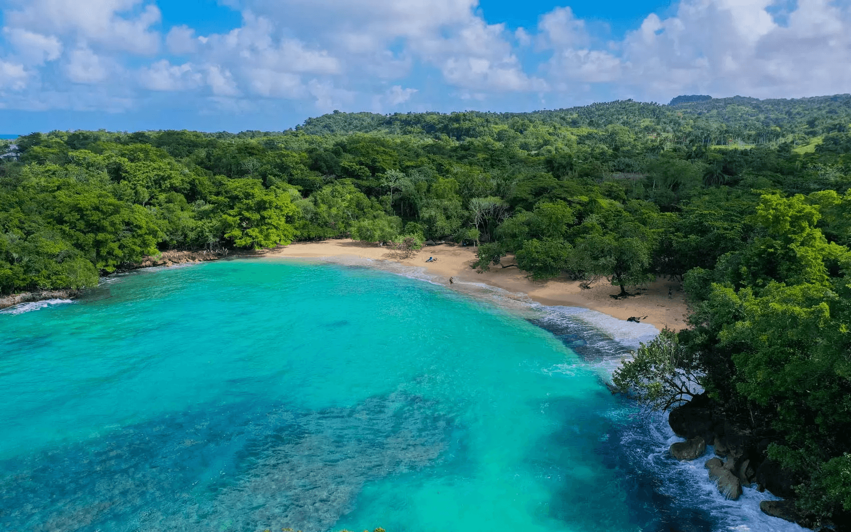 Samaná Peninsula Explorer: Whale Watching, El Limón Falls & Cayo Levantado
