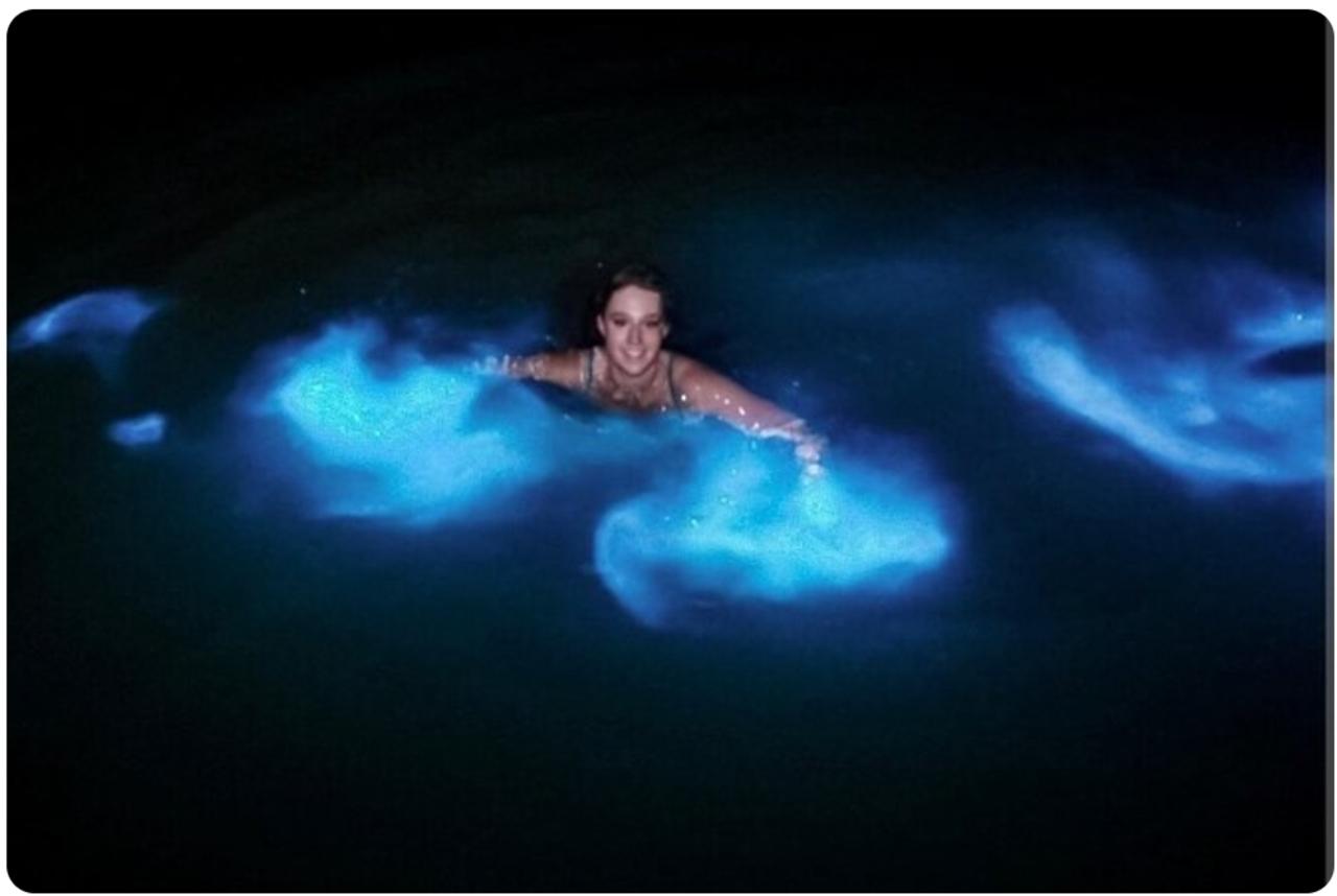 Bioluminescent Lagoon Evening Experience from Ocho Rios