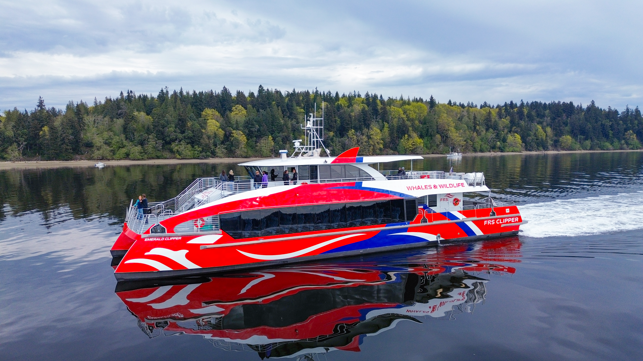 Seattle Half-Day Salish Sea Whale Watching Cruise