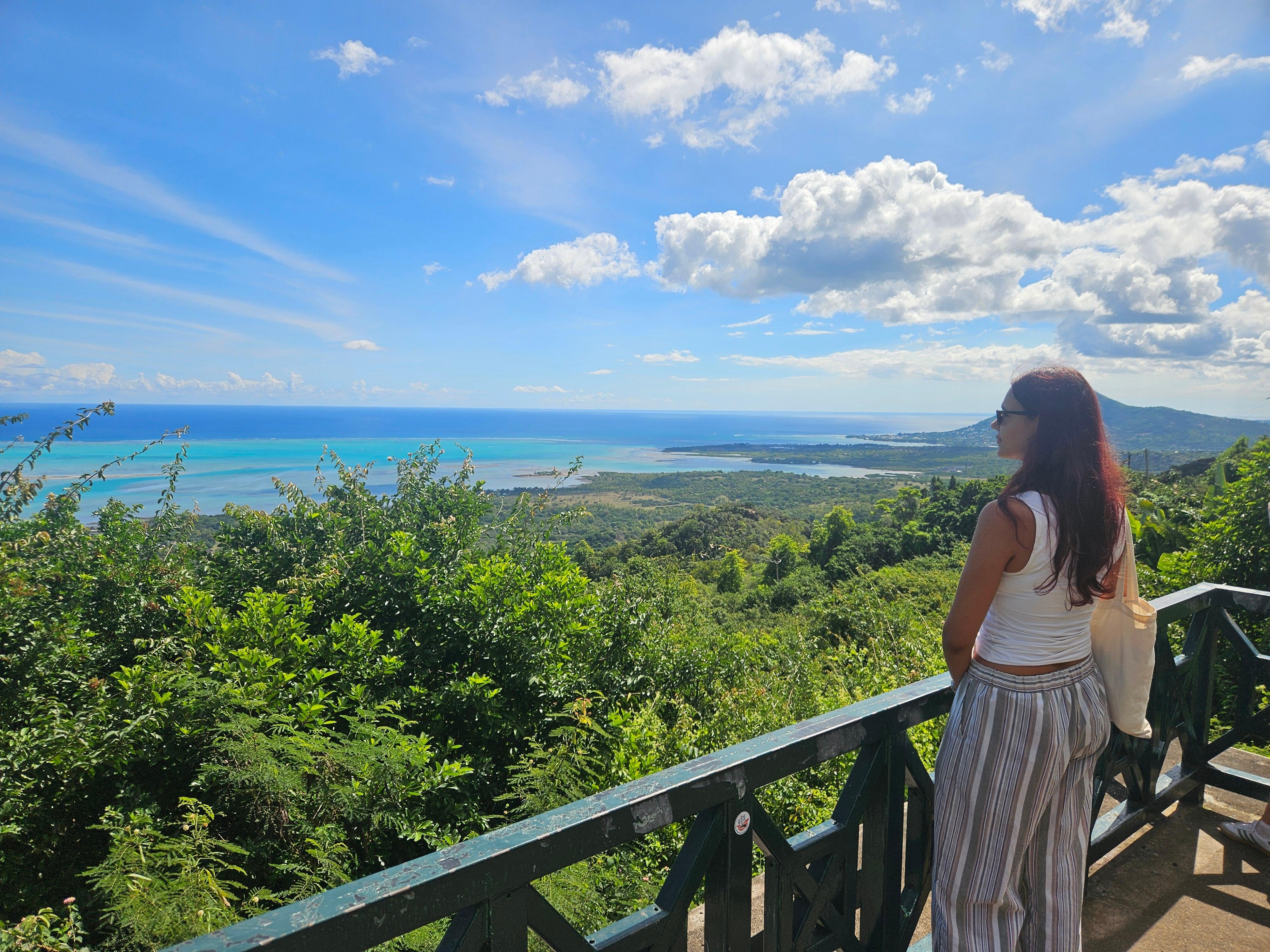 Private Southwest Mauritius: Chamarel & Nature Highlights