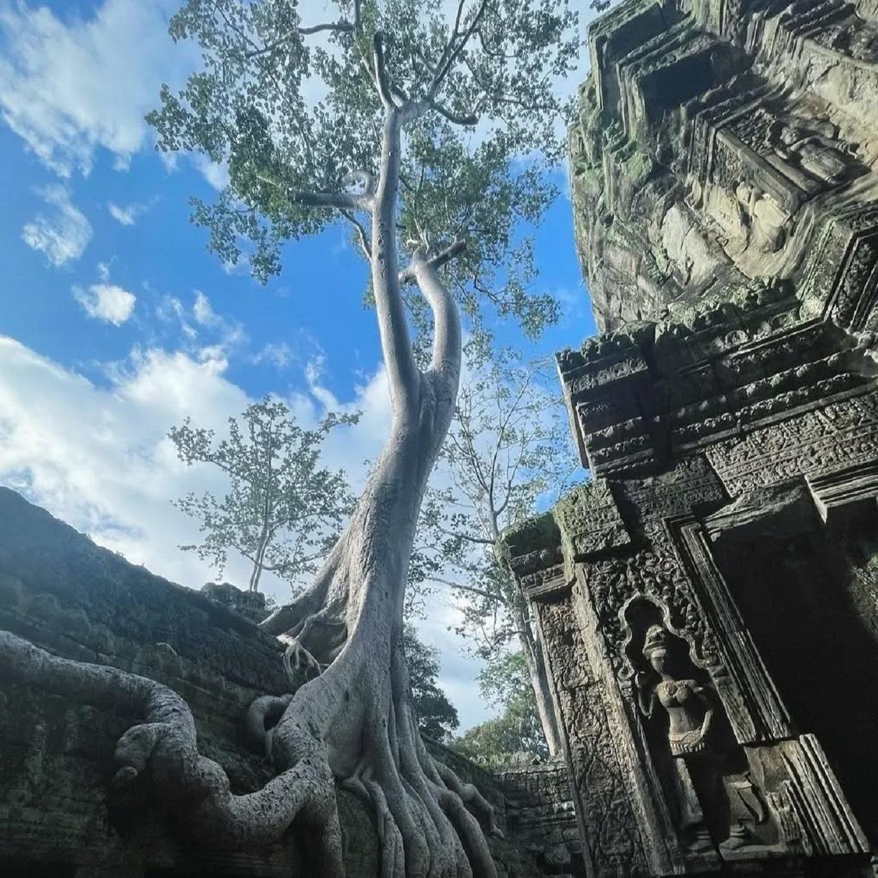 Siem Reap: Exclusive Private Angkor Wat Tour (Sunrise or Sunset)