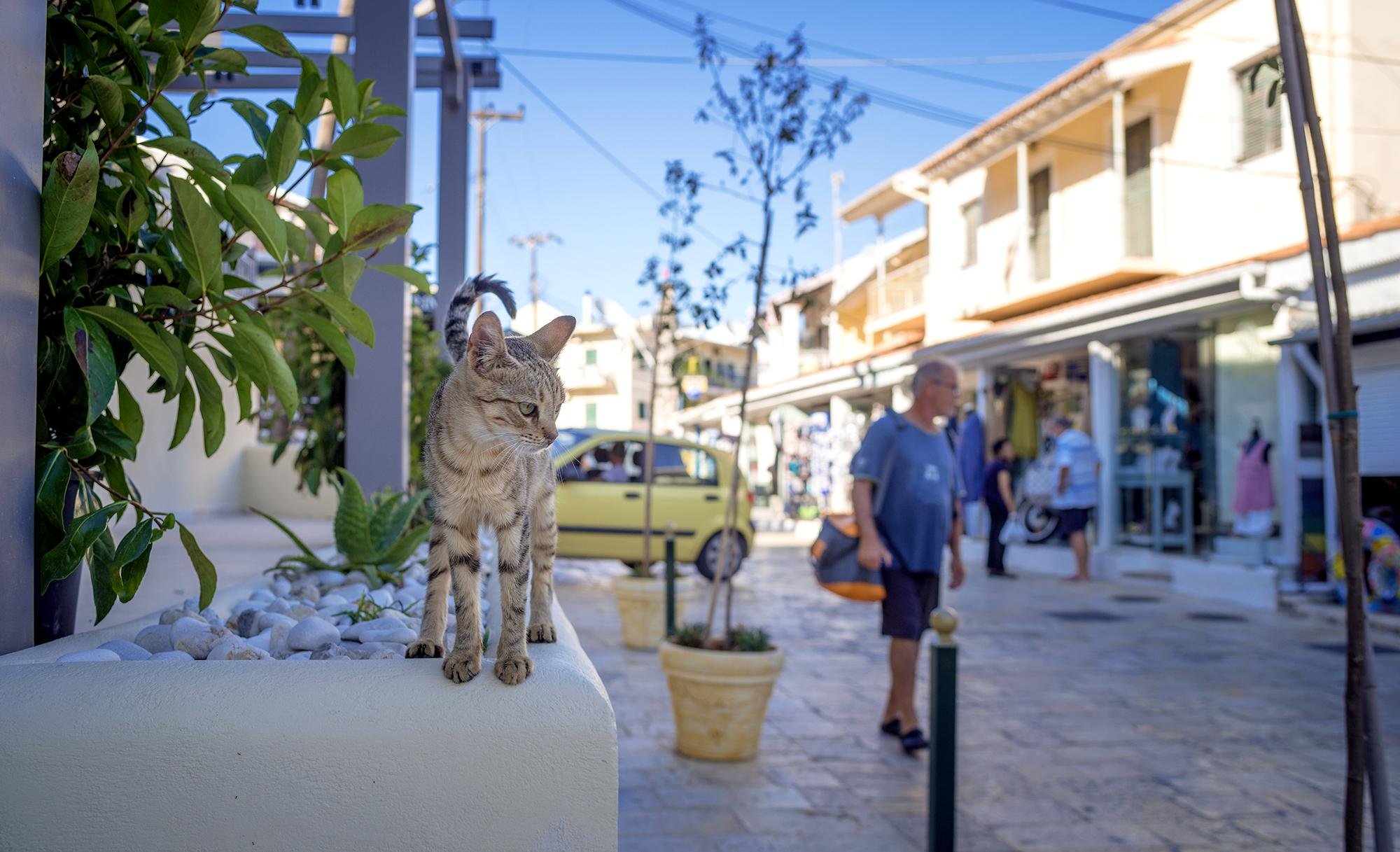 Corfu: Kassiopi & Canal d’Amour Day Trip with Shore Option