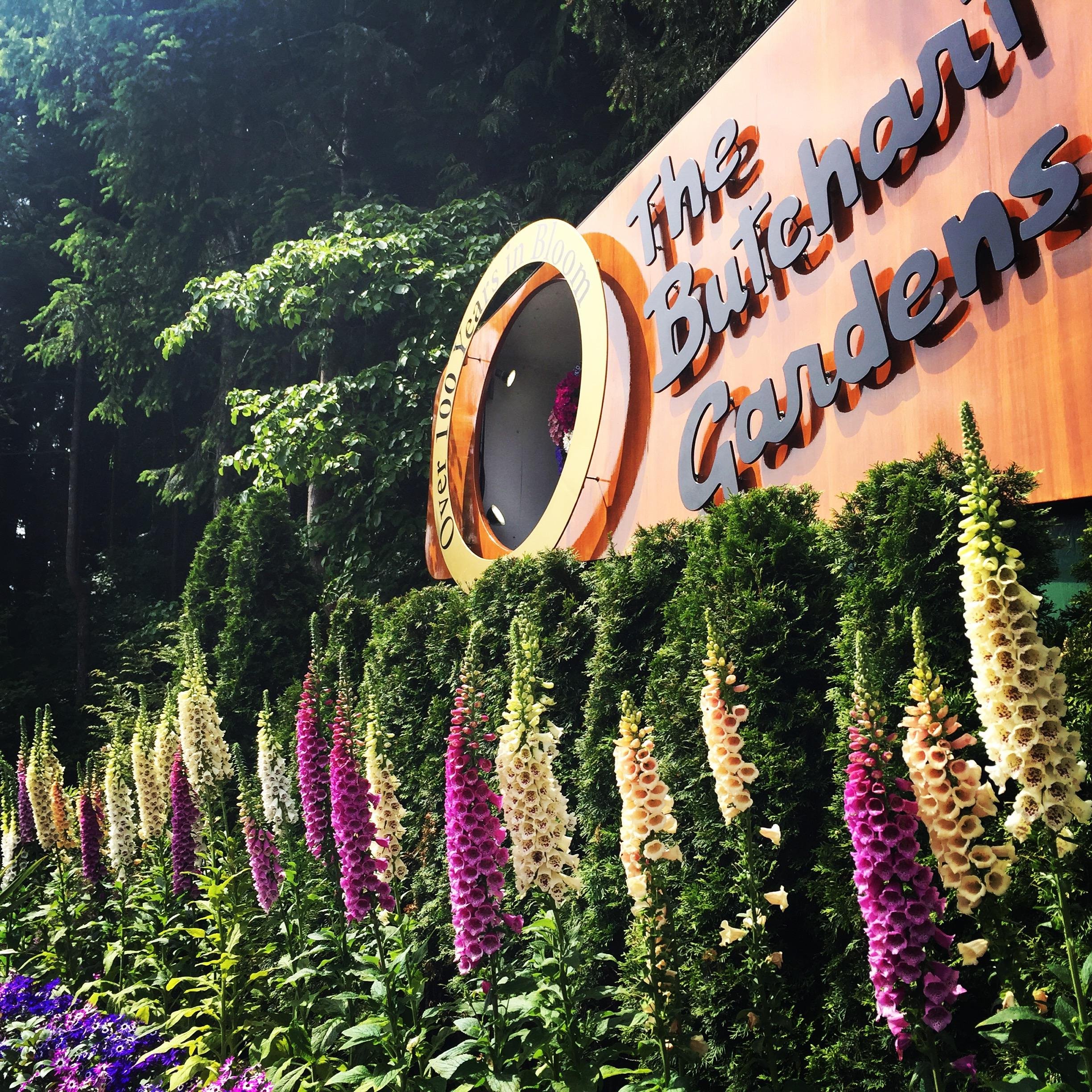 Victoria City Highlights & Butchart Gardens Guided Combo