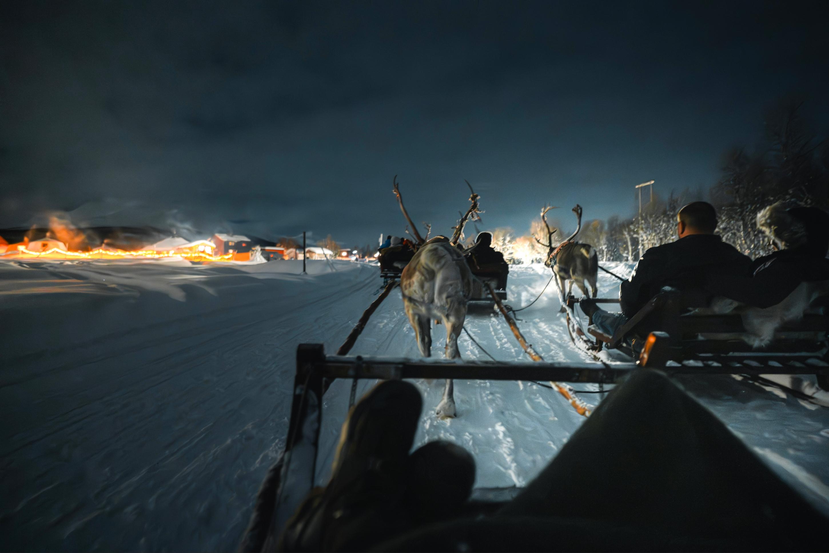 Reindeer Sledding with Chance of Northern Lights with Dinner
