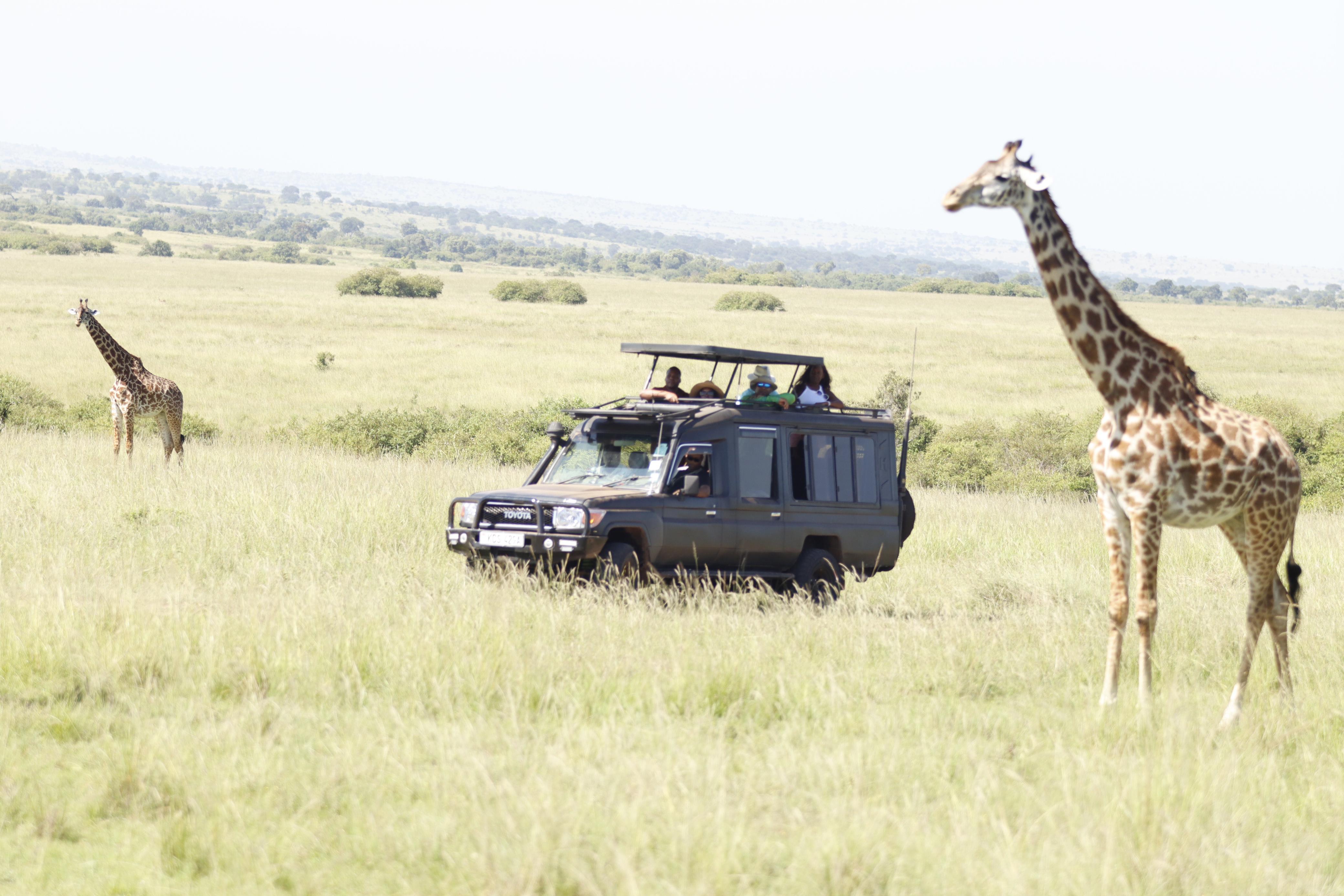 3-Day Masai Mara Safari Adventure from Nairobi