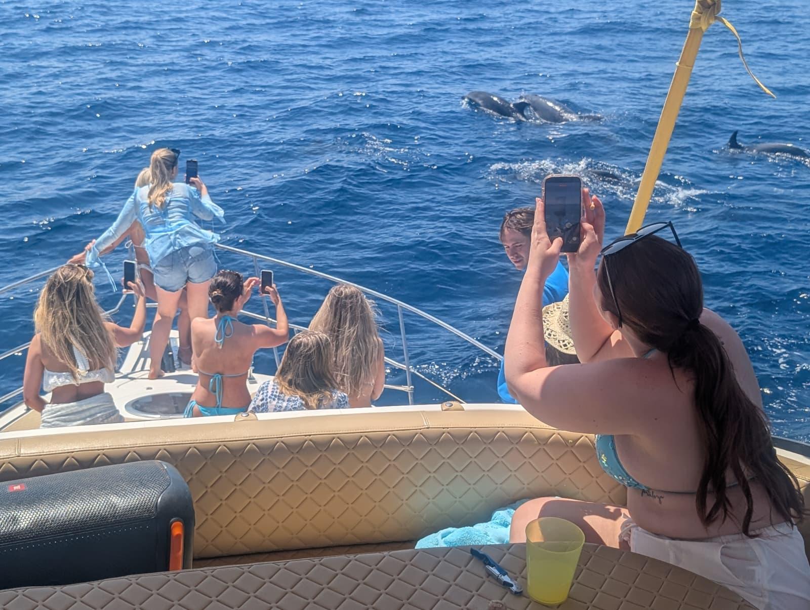 Luxury Yacht Dolphin Watching Experience in Fuengirola