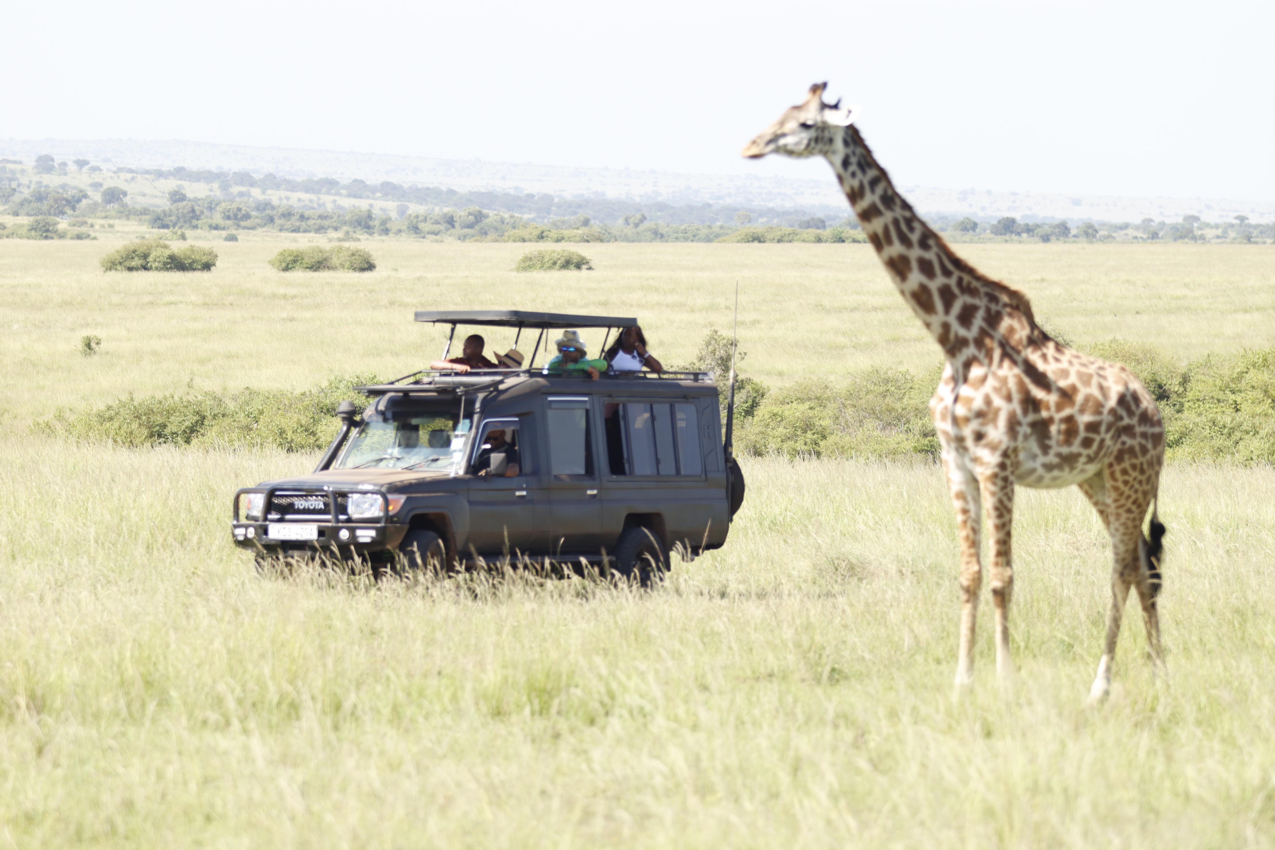 Maasai Mara Express: 1-Day Safari from Nairobi